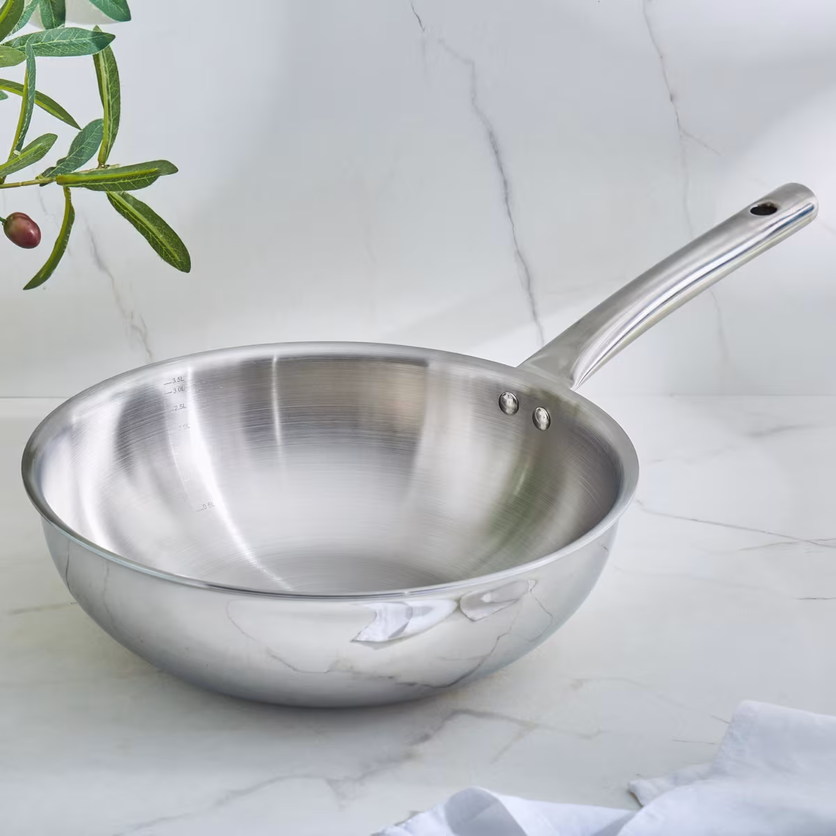 Valeria Carin Stainless Steel Induction Compatible Wok - 3.8L in Silver