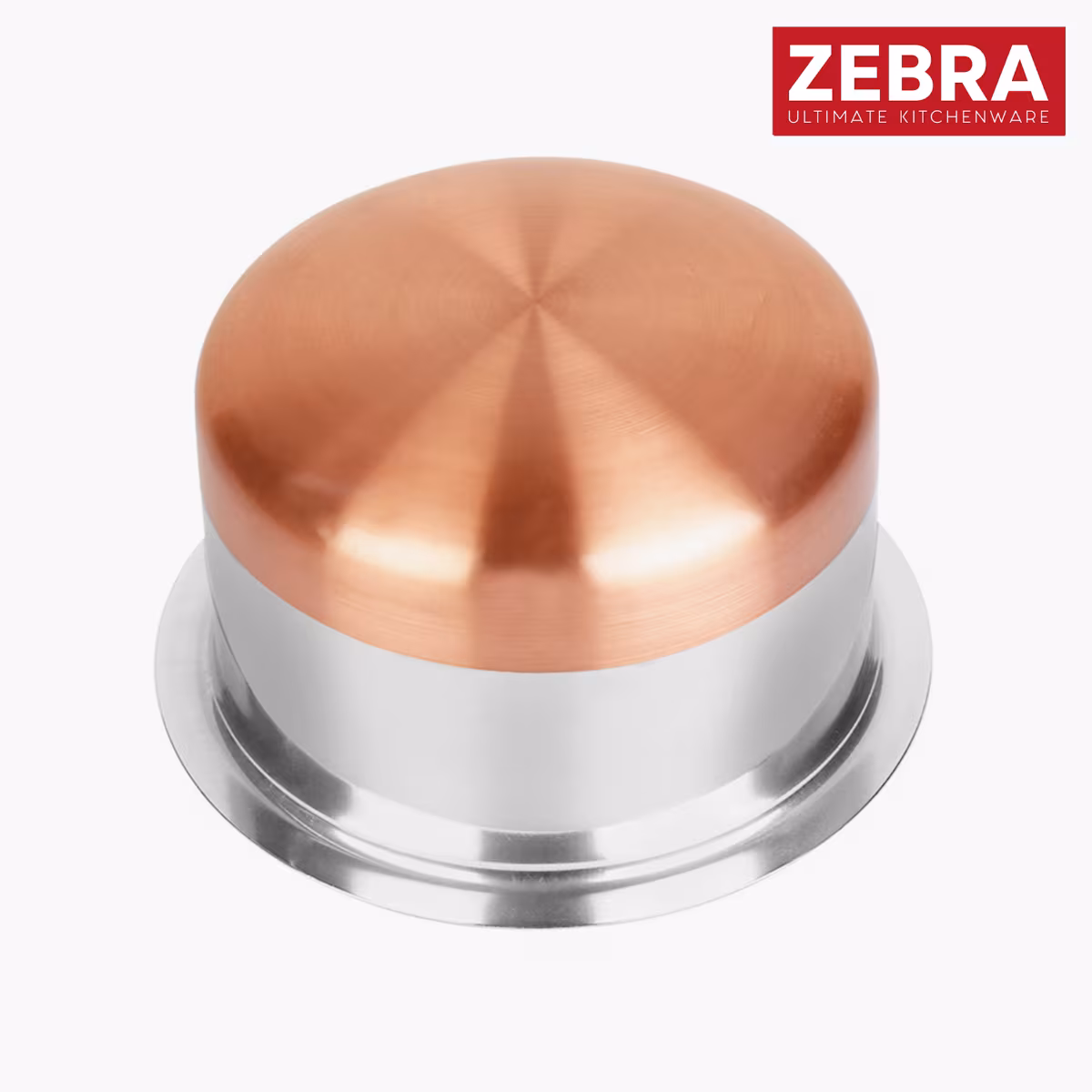 ZEBRA Stainless Steel Copper Bottom Tope - 2L in Silver
