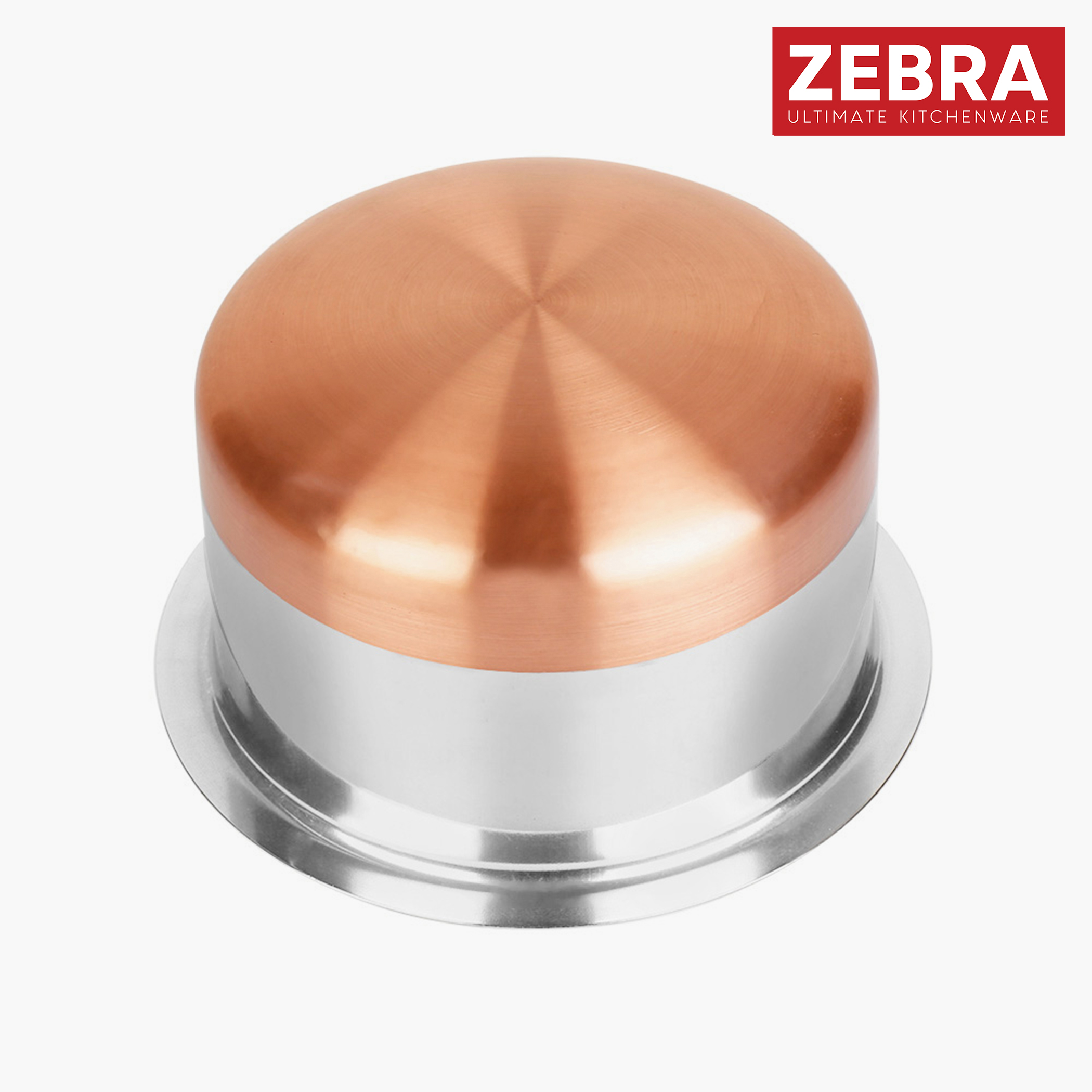 ZEBRA Stainless Steel Copper Bottom Tope - 2L in Silver
