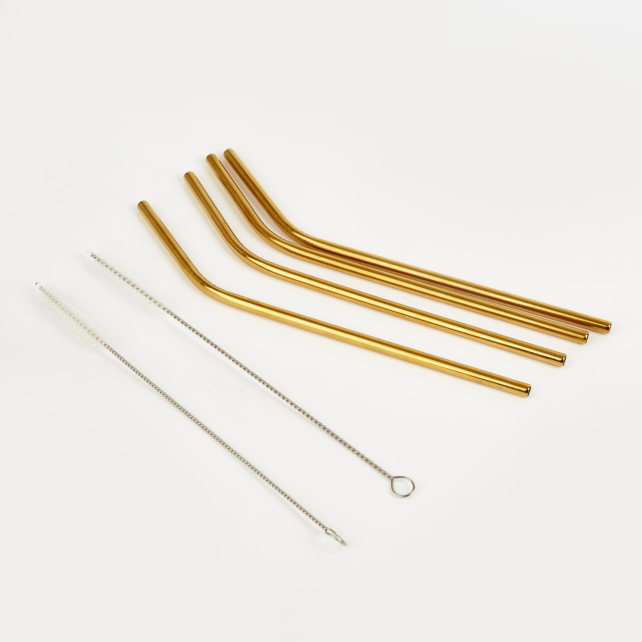 Wexford Oregon 6Pcs Stainless Steel Straw Set in Gold