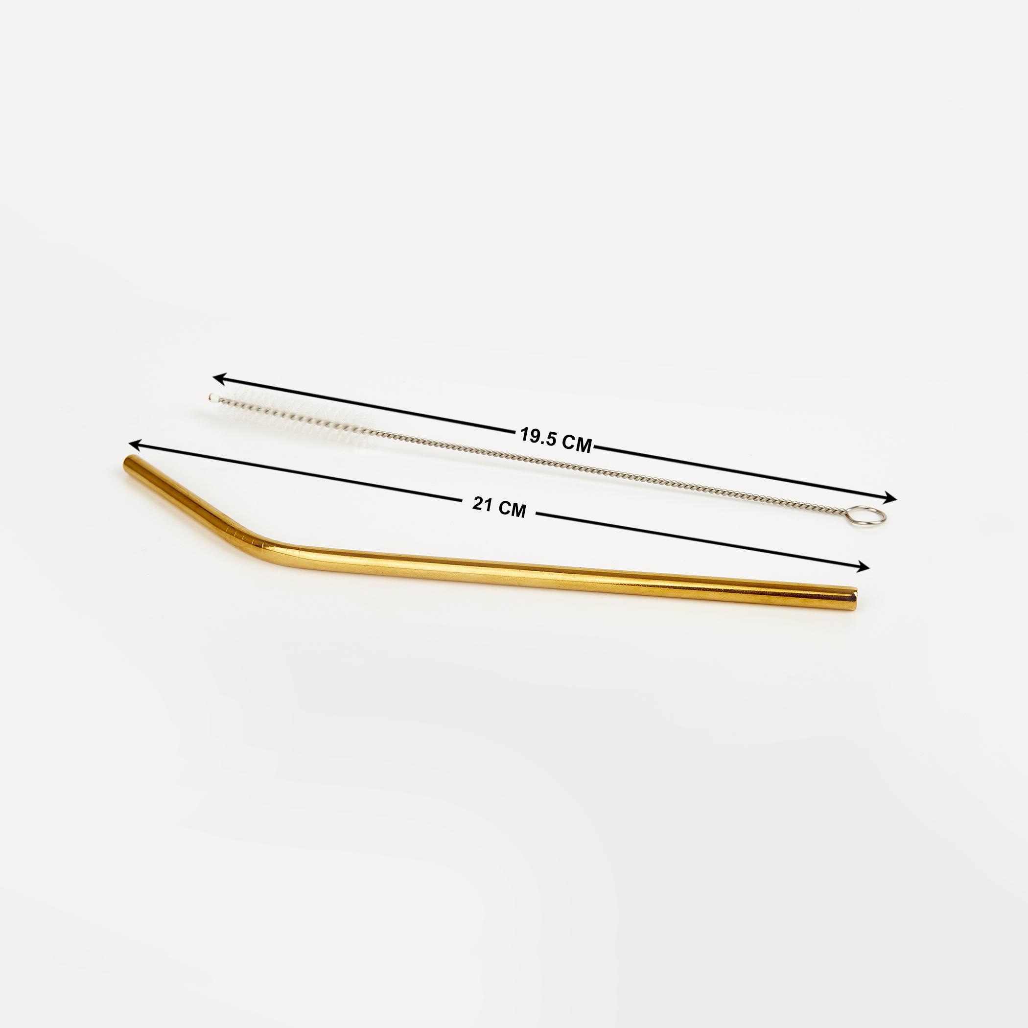 Wexford Oregon 6Pcs Stainless Steel Straw Set in Gold