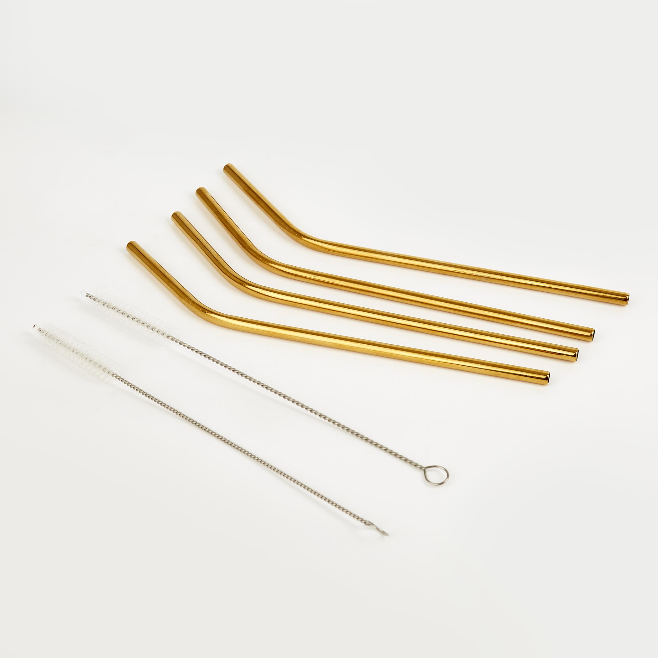 Wexford Oregon 6Pcs Stainless Steel Straw Set in Gold