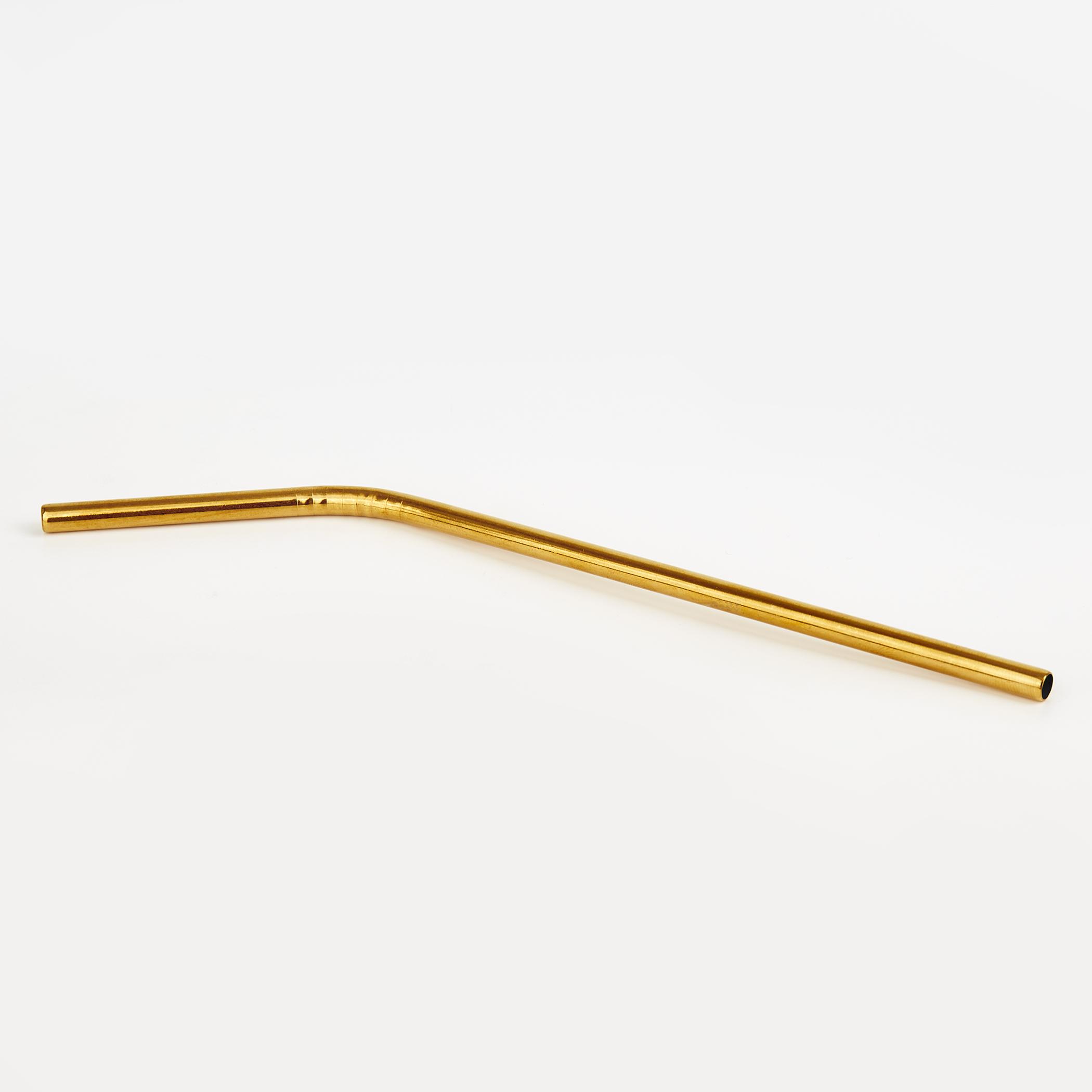 Wexford Oregon 6Pcs Stainless Steel Straw Set in Gold