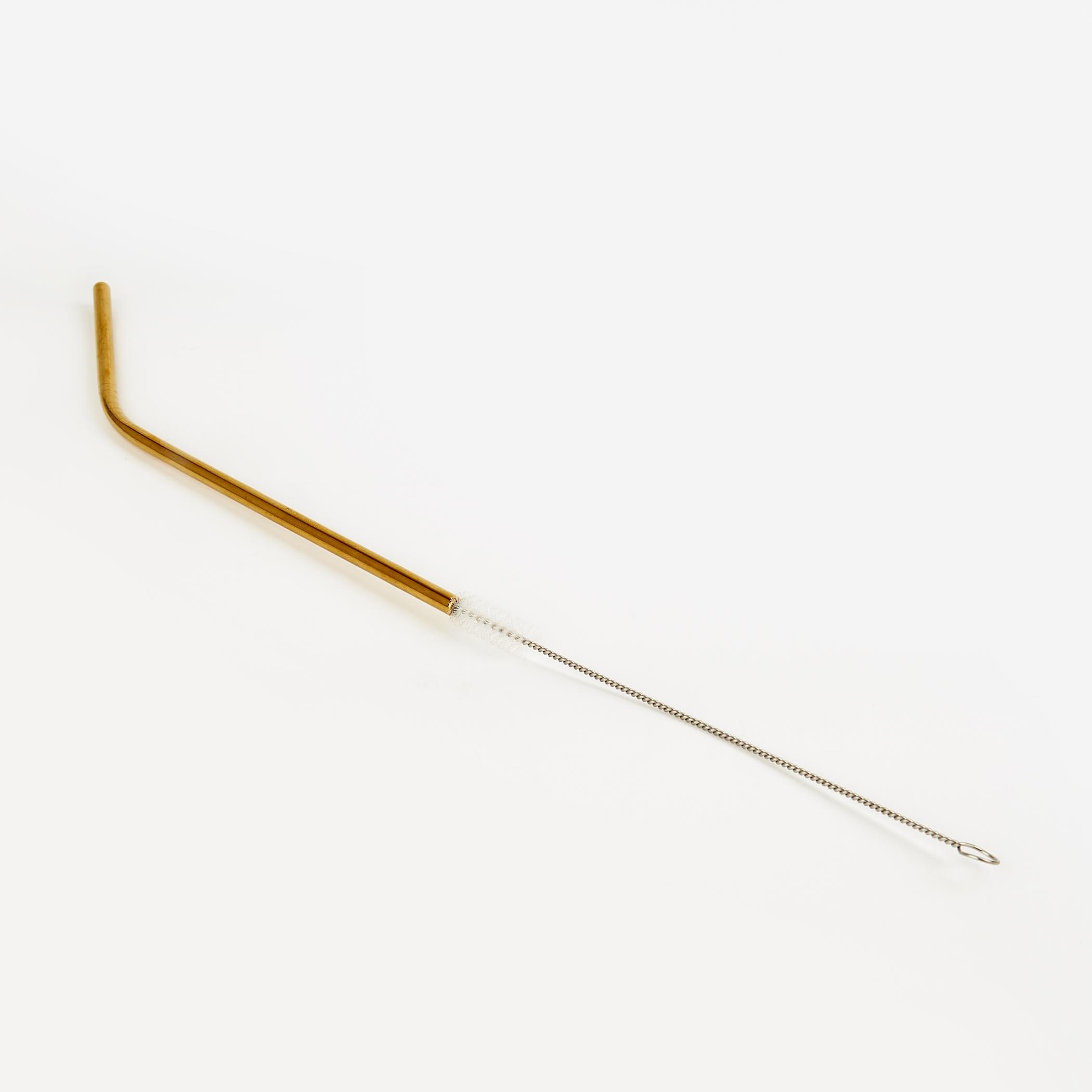 Wexford Oregon 6Pcs Stainless Steel Straw Set in Gold
