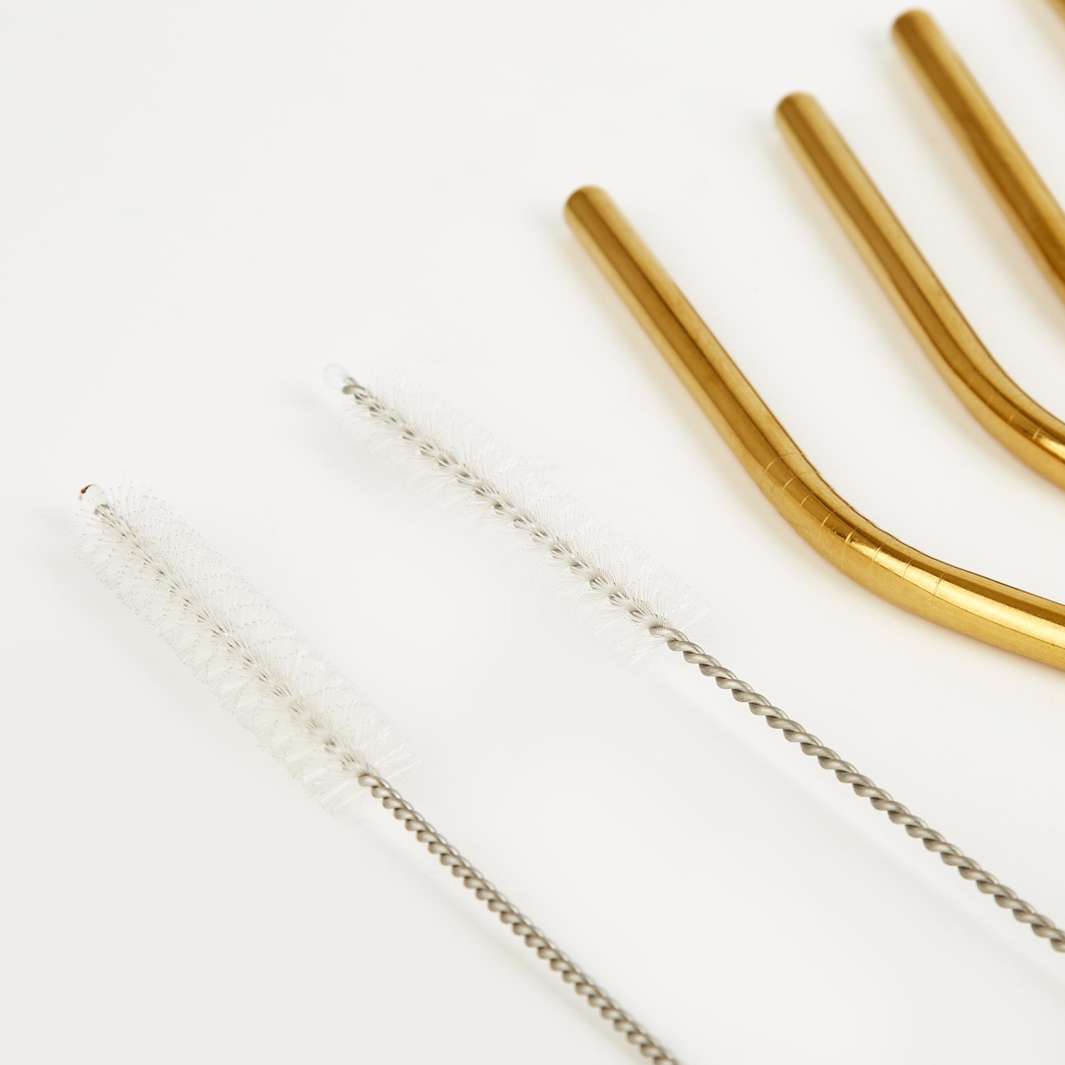 Wexford Oregon 6Pcs Stainless Steel Straw Set in Gold