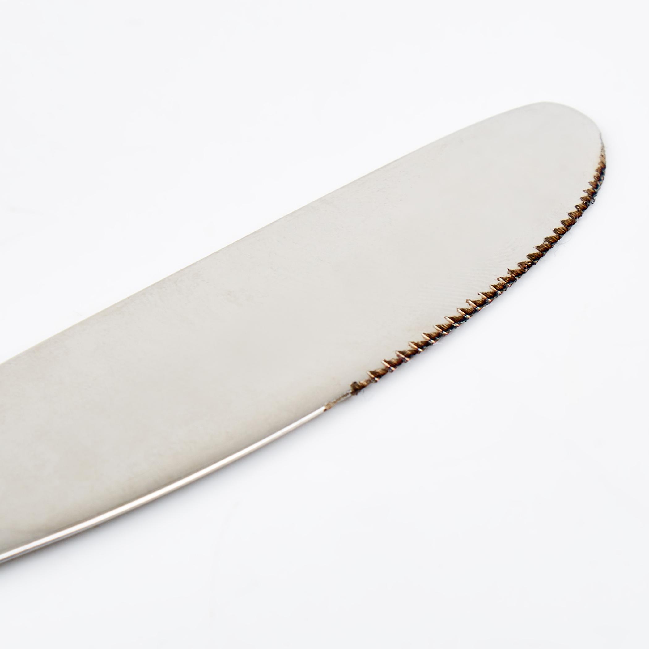 Glister Dune Set of 2 Stainless Steel Dessert Knife in Silver