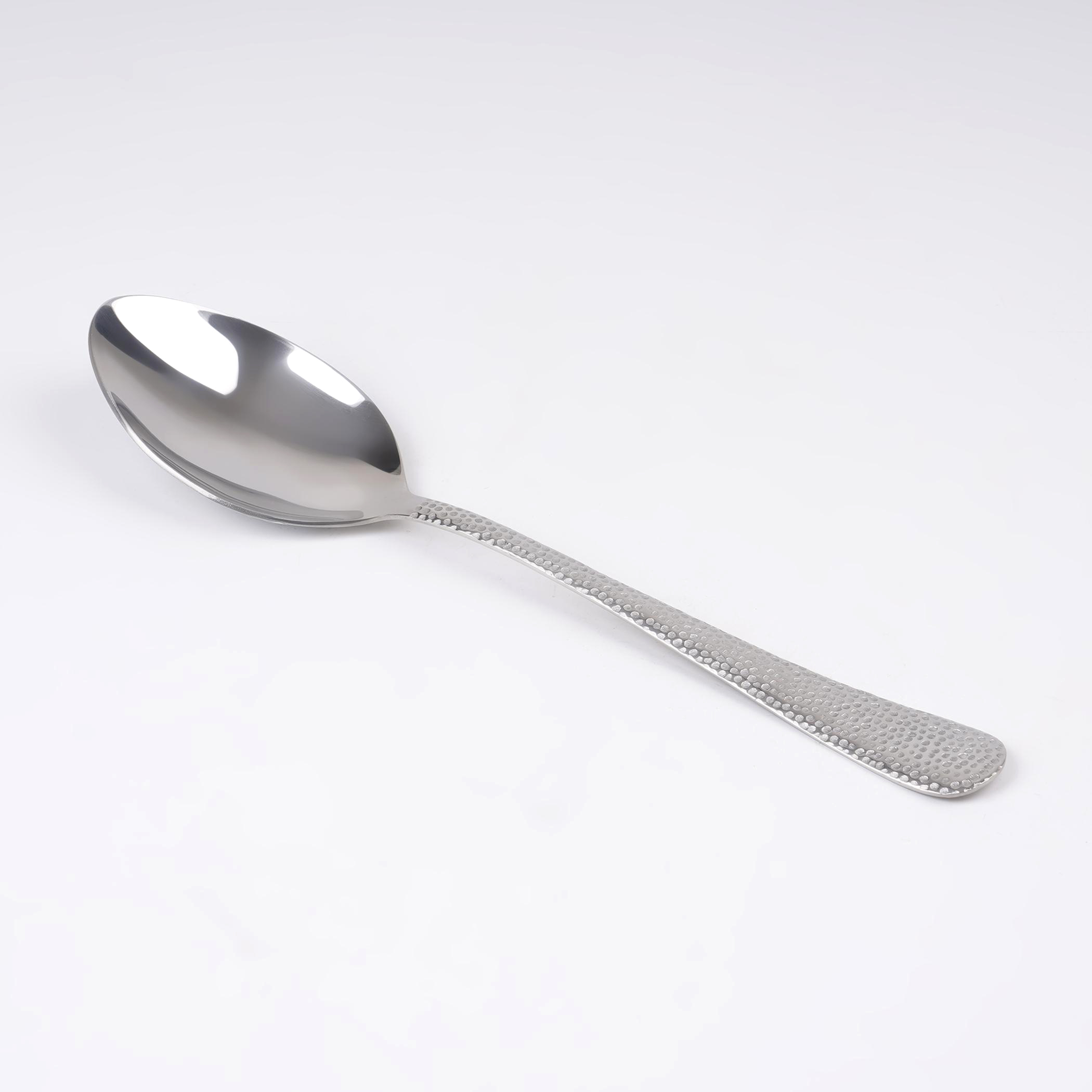 Glister Elke Stainless Steel Serving Spoon in Silver