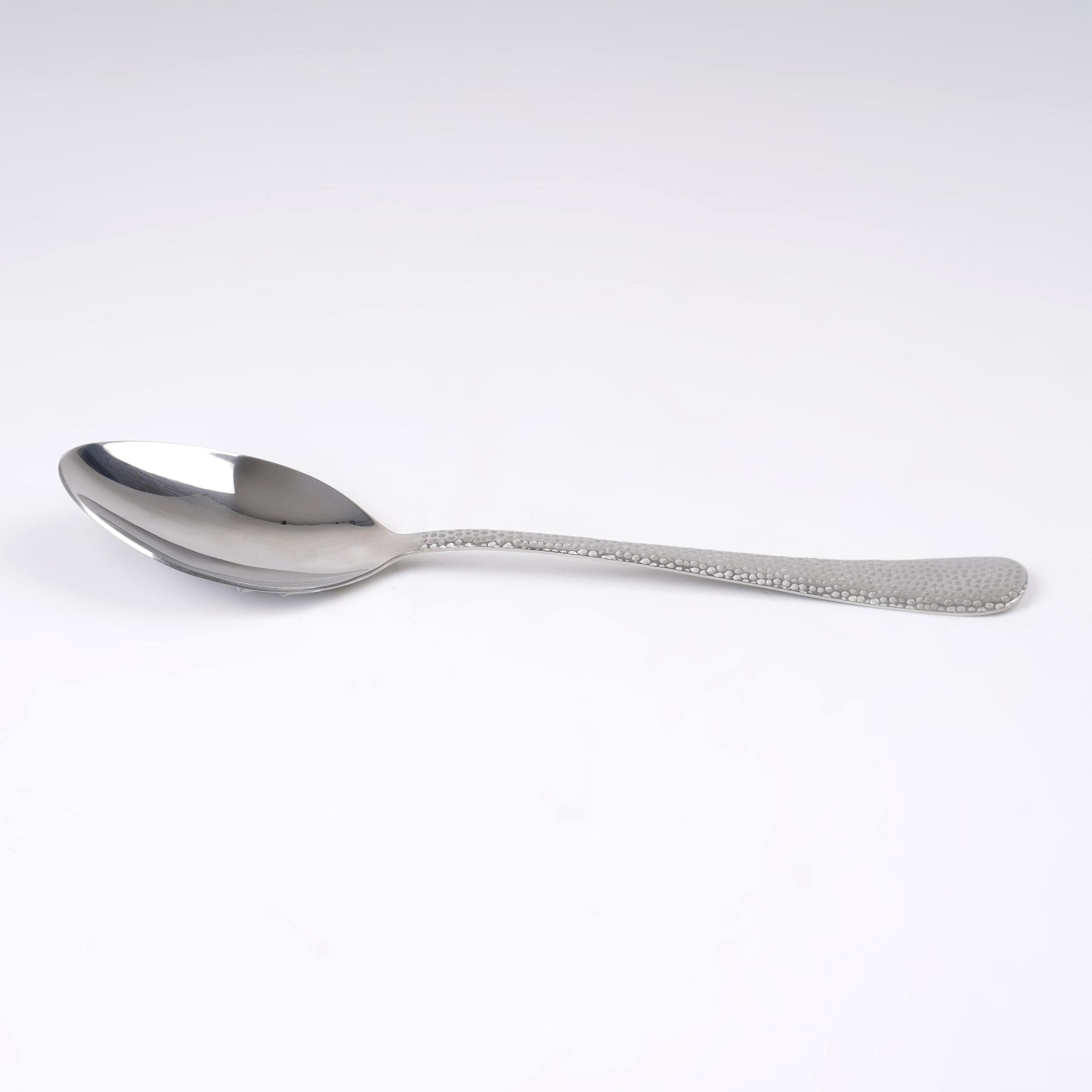 Glister Elke Stainless Steel Serving Spoon in Silver