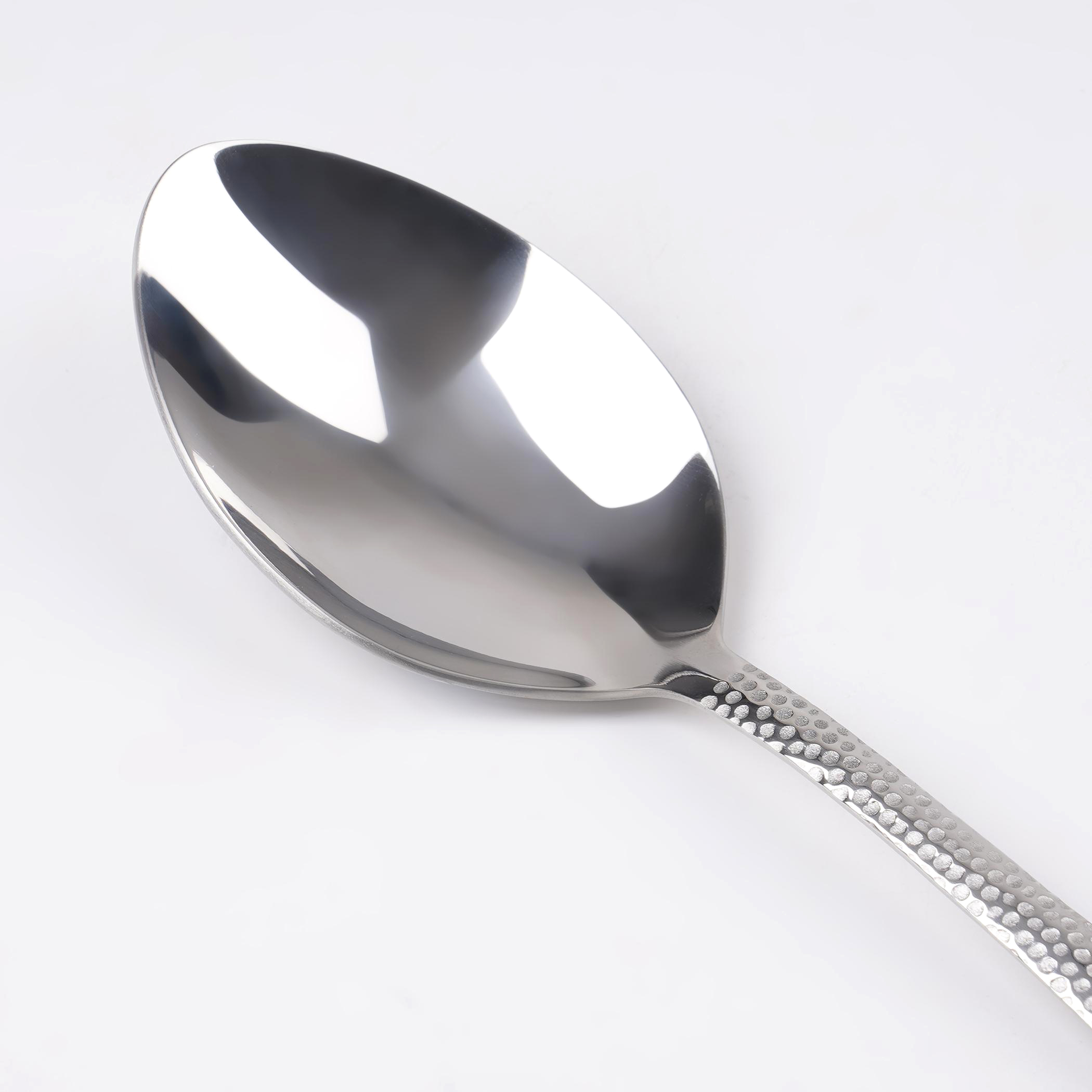 Glister Elke Stainless Steel Serving Spoon in Silver