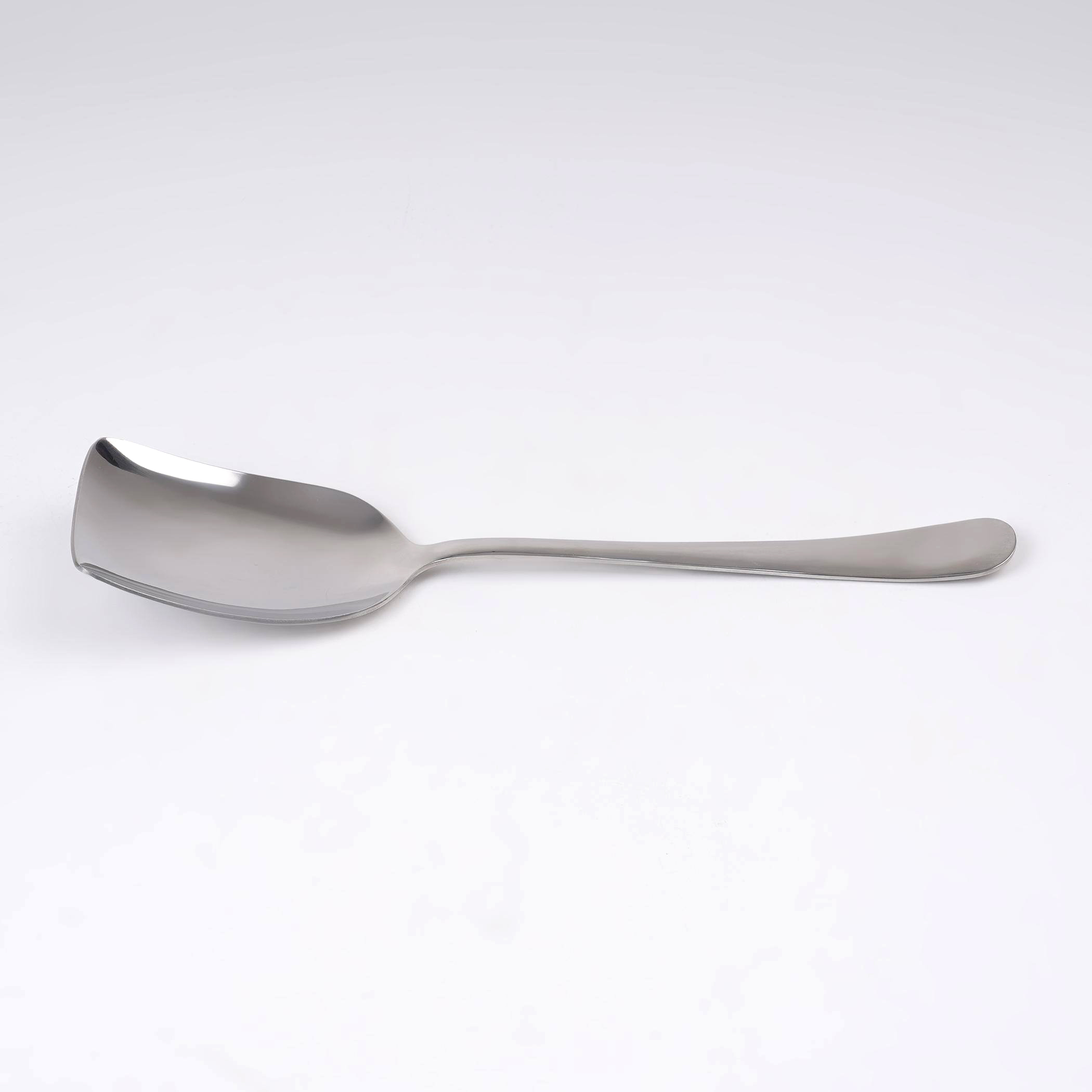 Glister Rosemary Stainless Steel Rice Spoon in Silver