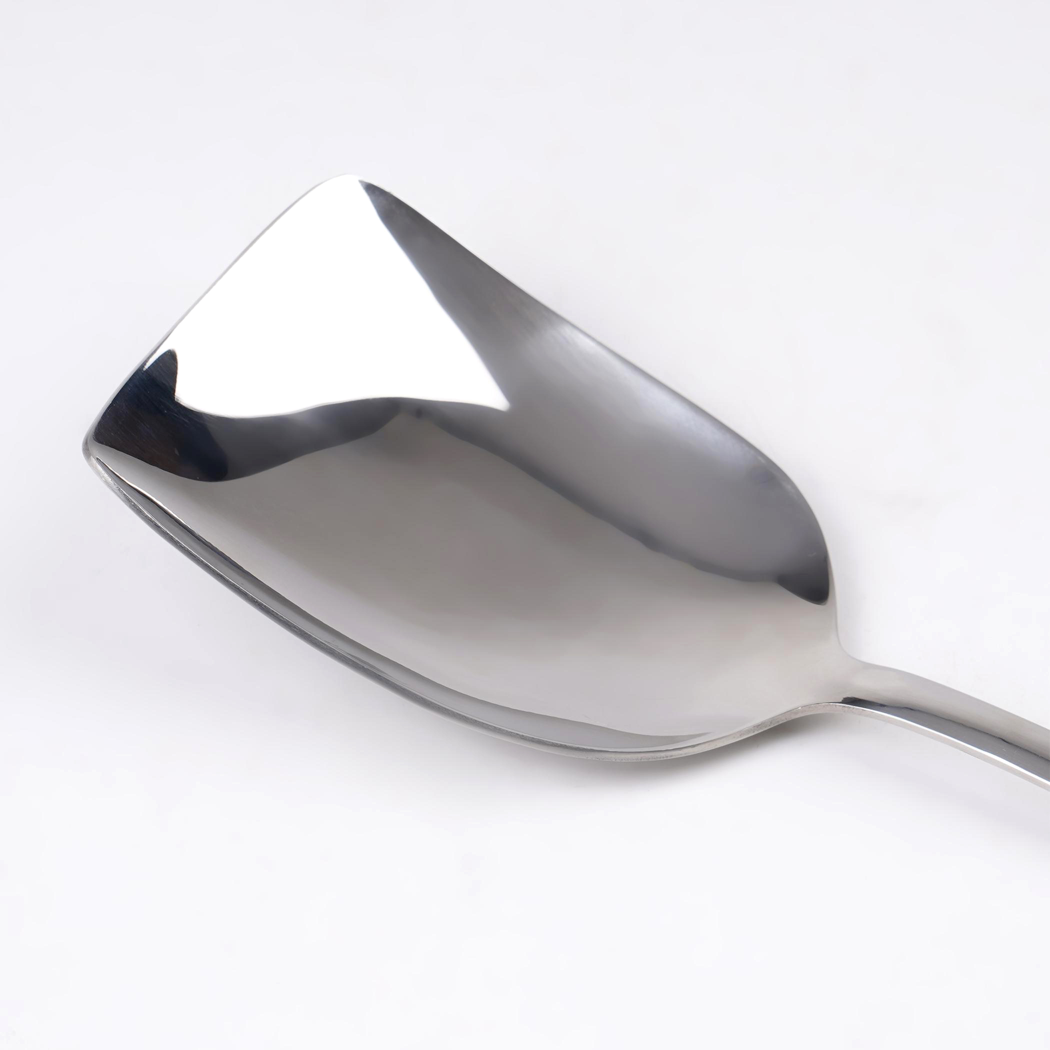 Glister Rosemary Stainless Steel Rice Spoon in Silver