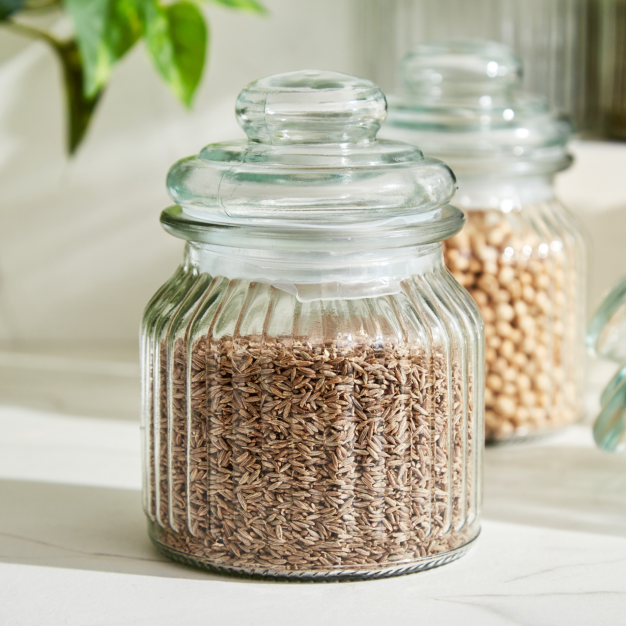 Marley Mimosa Set of 6 Glass Storage Jar - 650ml in Transparent