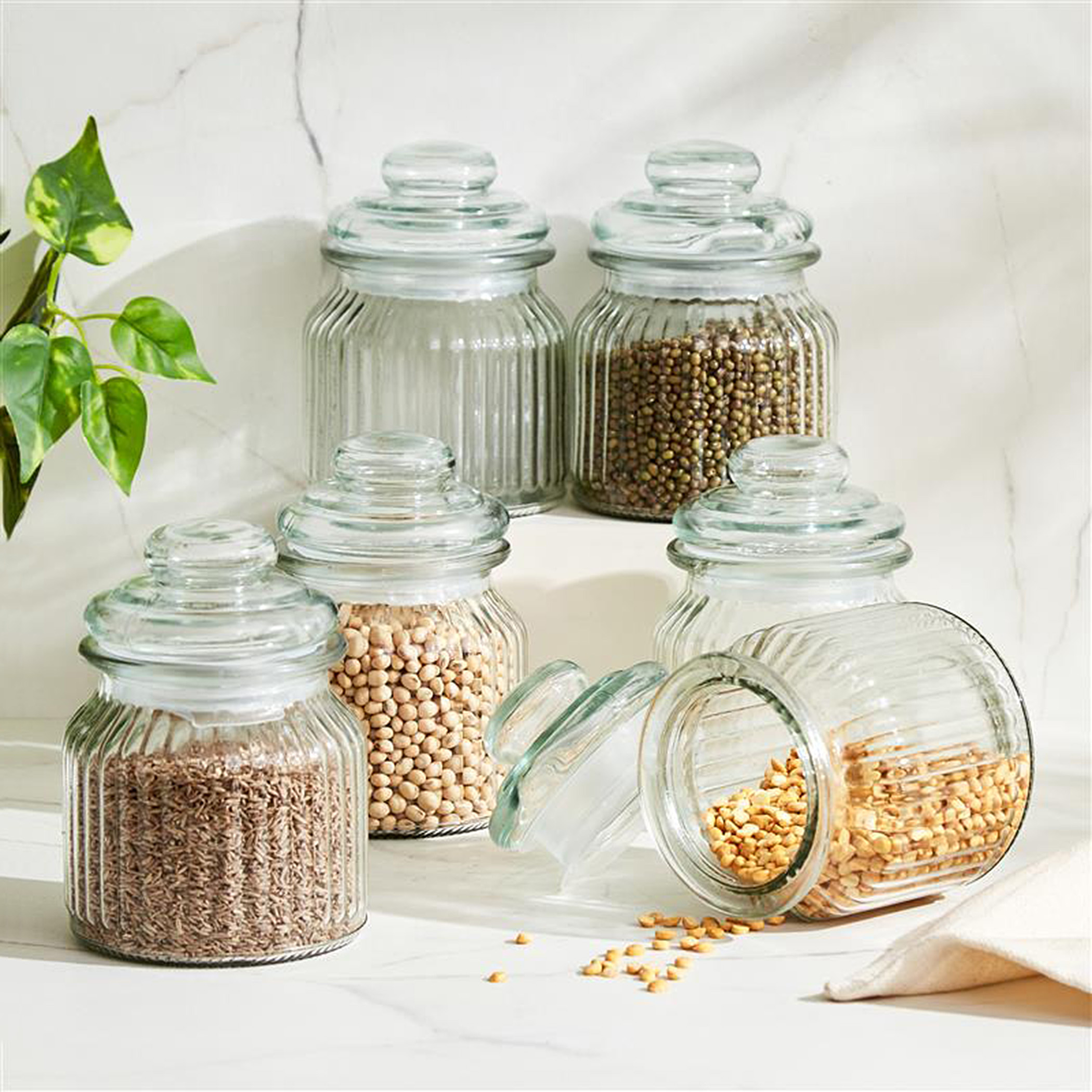 Marley Mimosa Set of 6 Glass Storage Jar - 650ml in Transparent