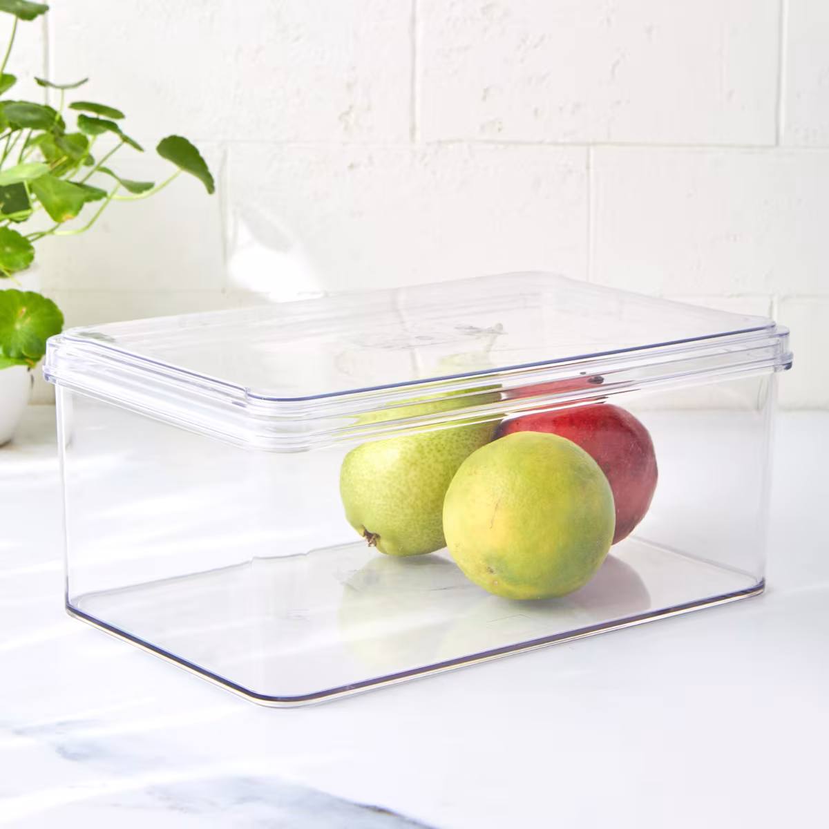 Storage & Containers