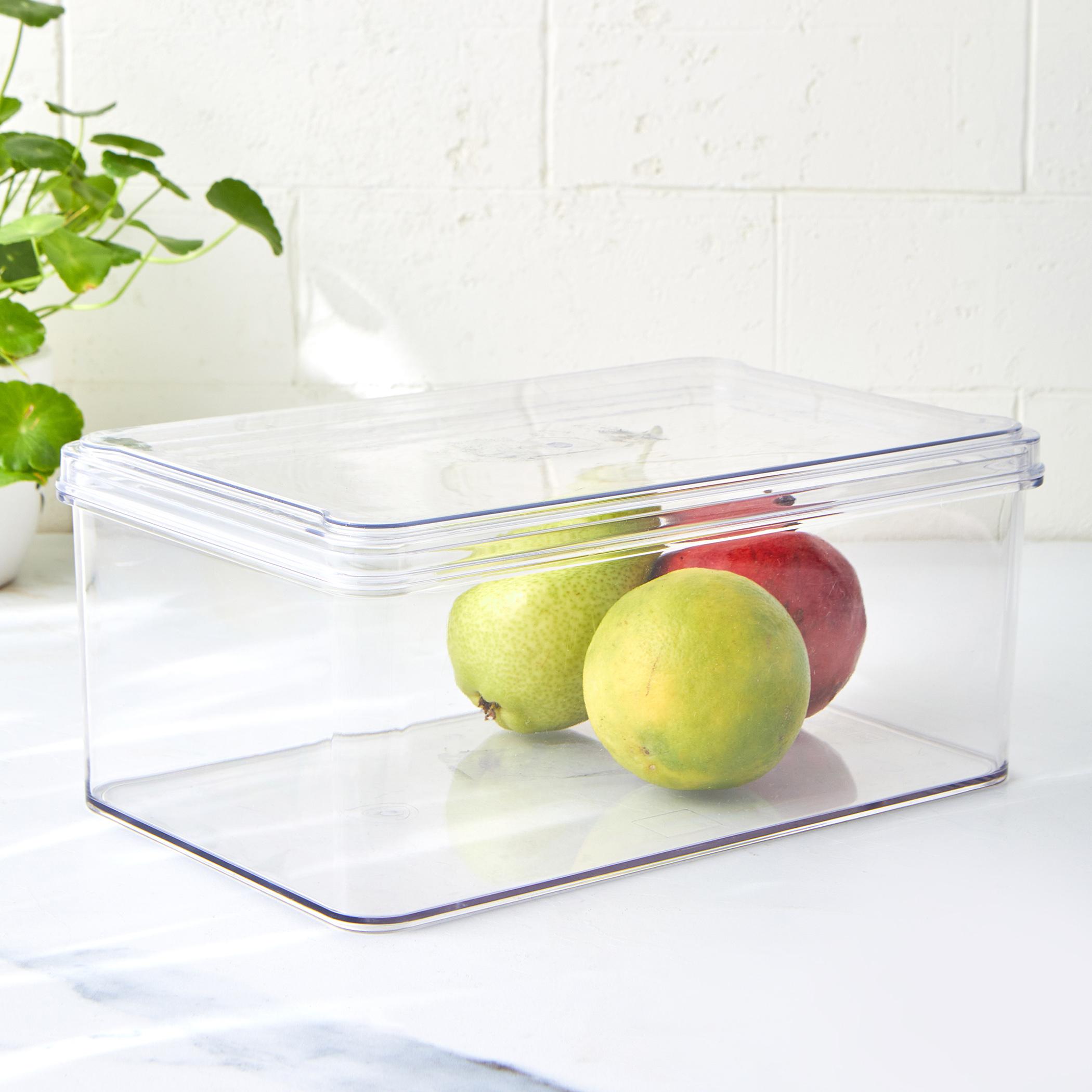 Orion Elfin Fridge Storage Box with Lid in Transparent
