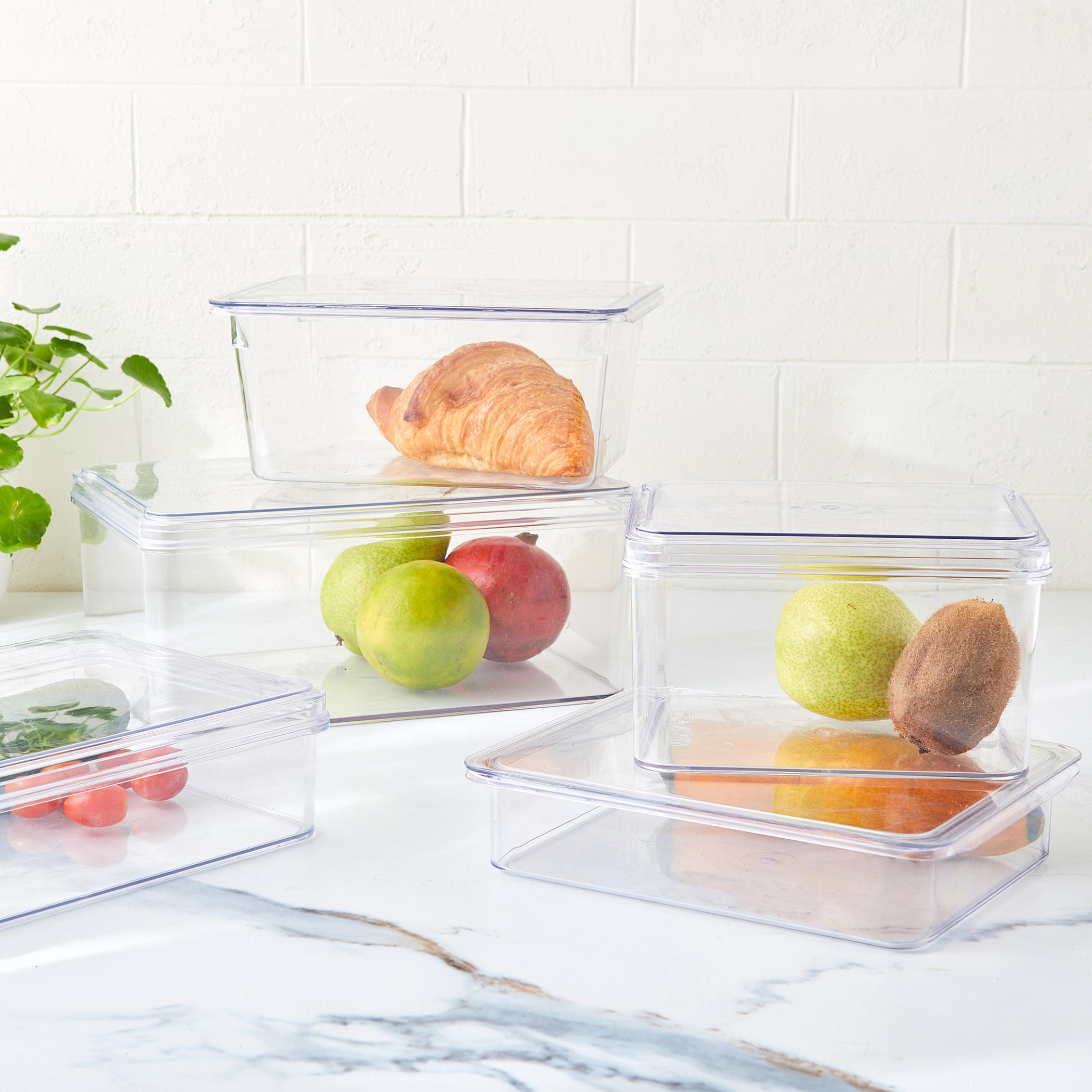 Orion Elfin Fridge Storage Box with Lid in Transparent