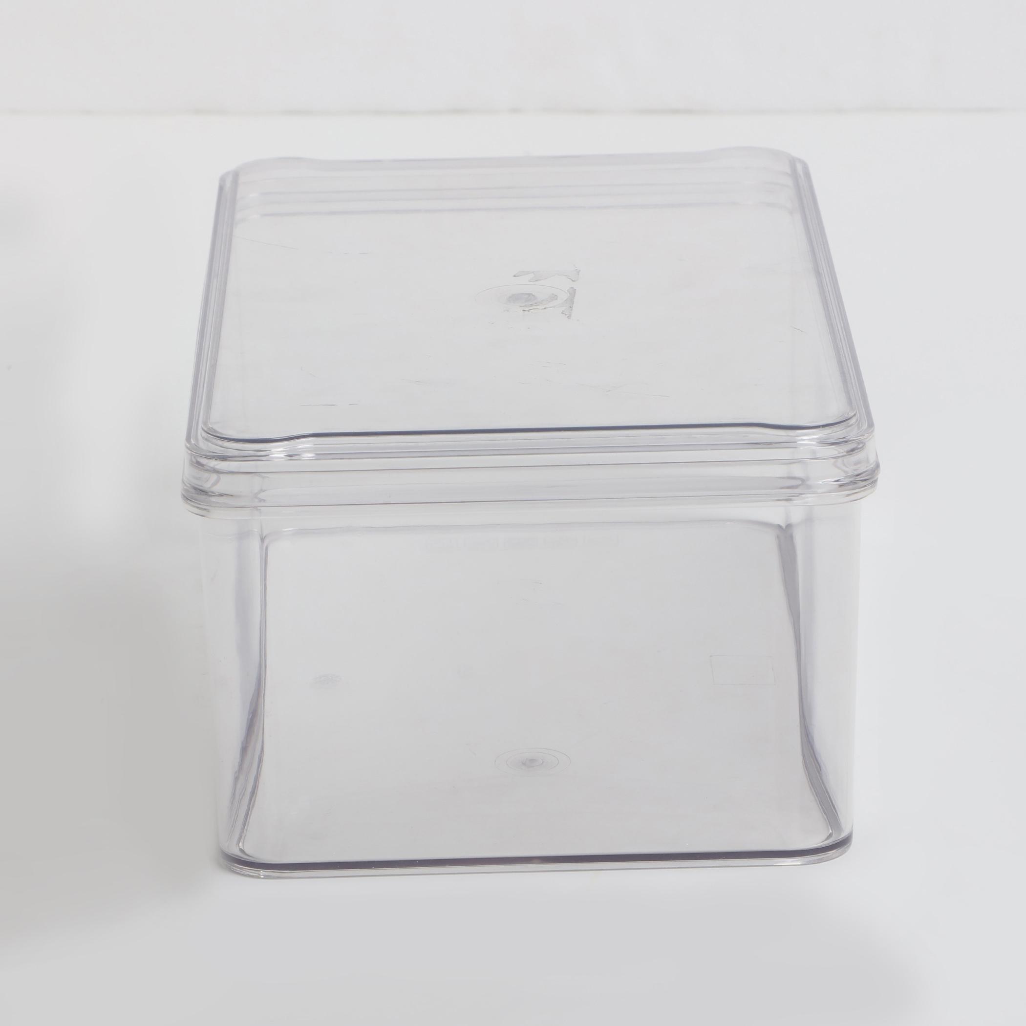 Orion Elfin Fridge Storage Box with Lid in Transparent