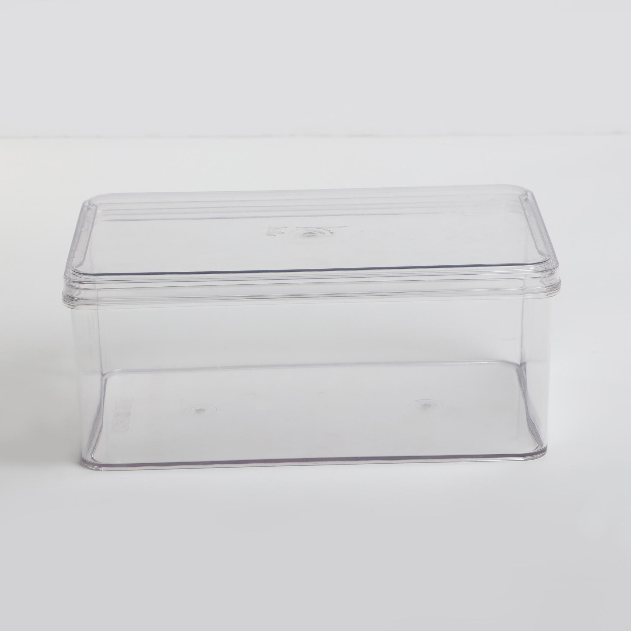 Orion Elfin Fridge Storage Box with Lid in Transparent