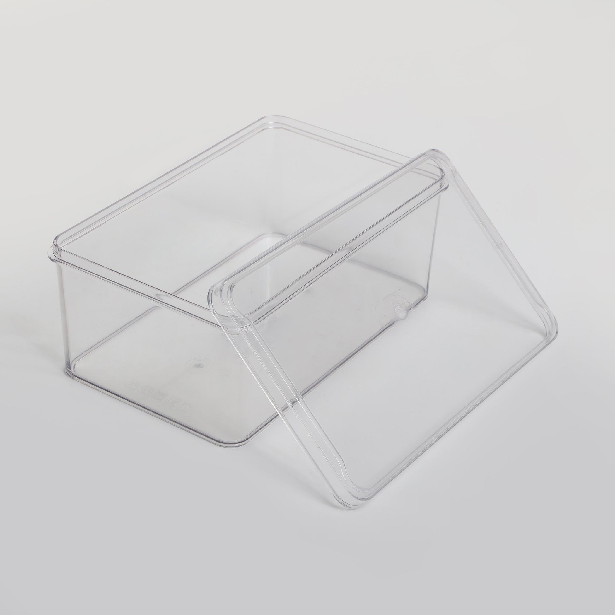 Orion Elfin Fridge Storage Box with Lid in Transparent