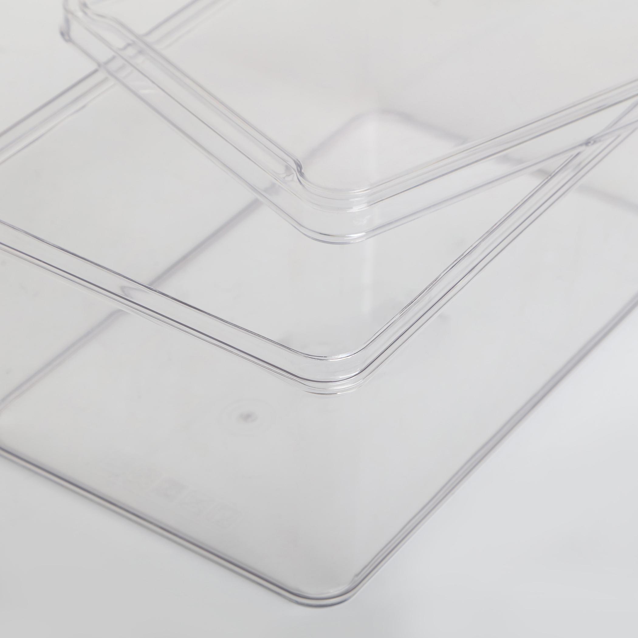 Orion Elfin Fridge Storage Box with Lid in Transparent