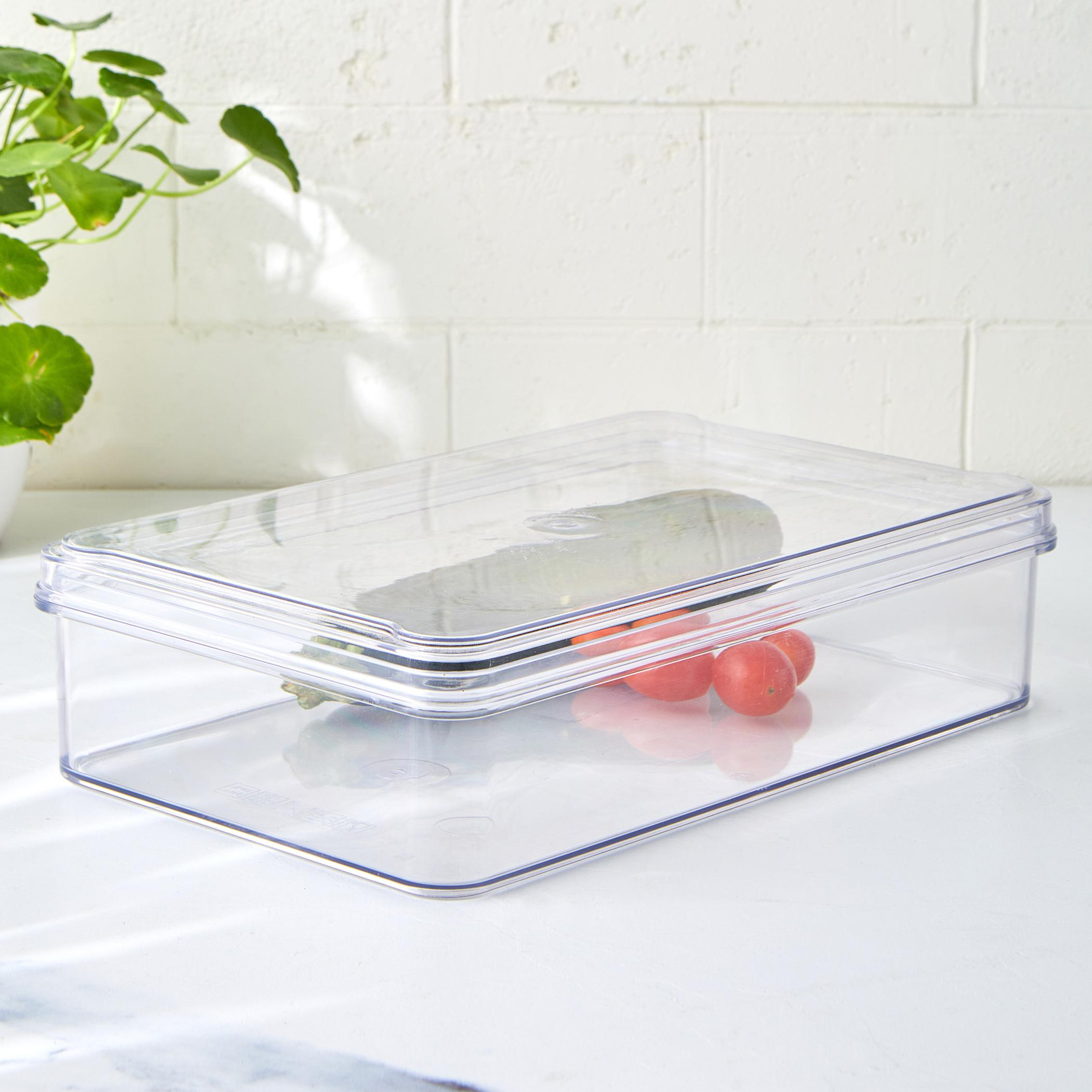 Orion Elfin Fridge Storage Box with Lid in Transparent