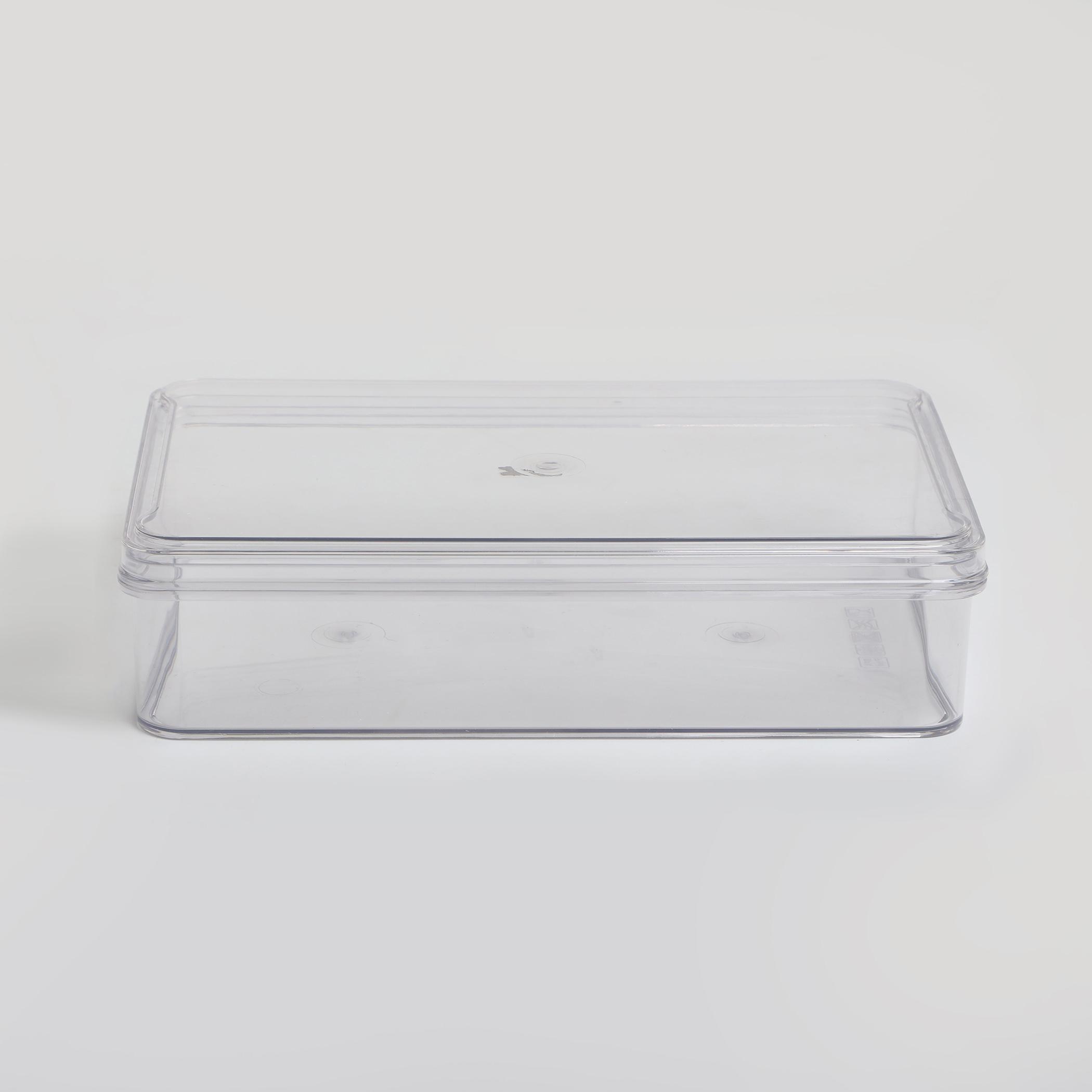 Orion Elfin Fridge Storage Box with Lid in Transparent
