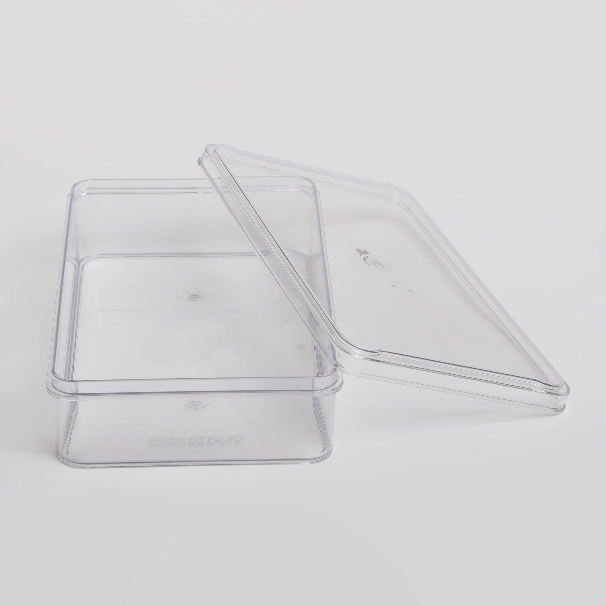 Orion Elfin Fridge Storage Box with Lid in Transparent