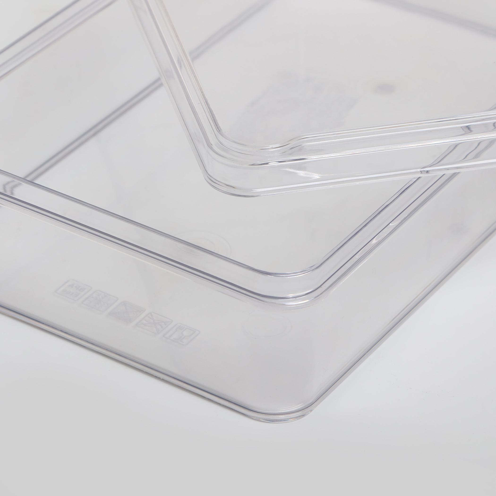 Orion Elfin Fridge Storage Box with Lid in Transparent