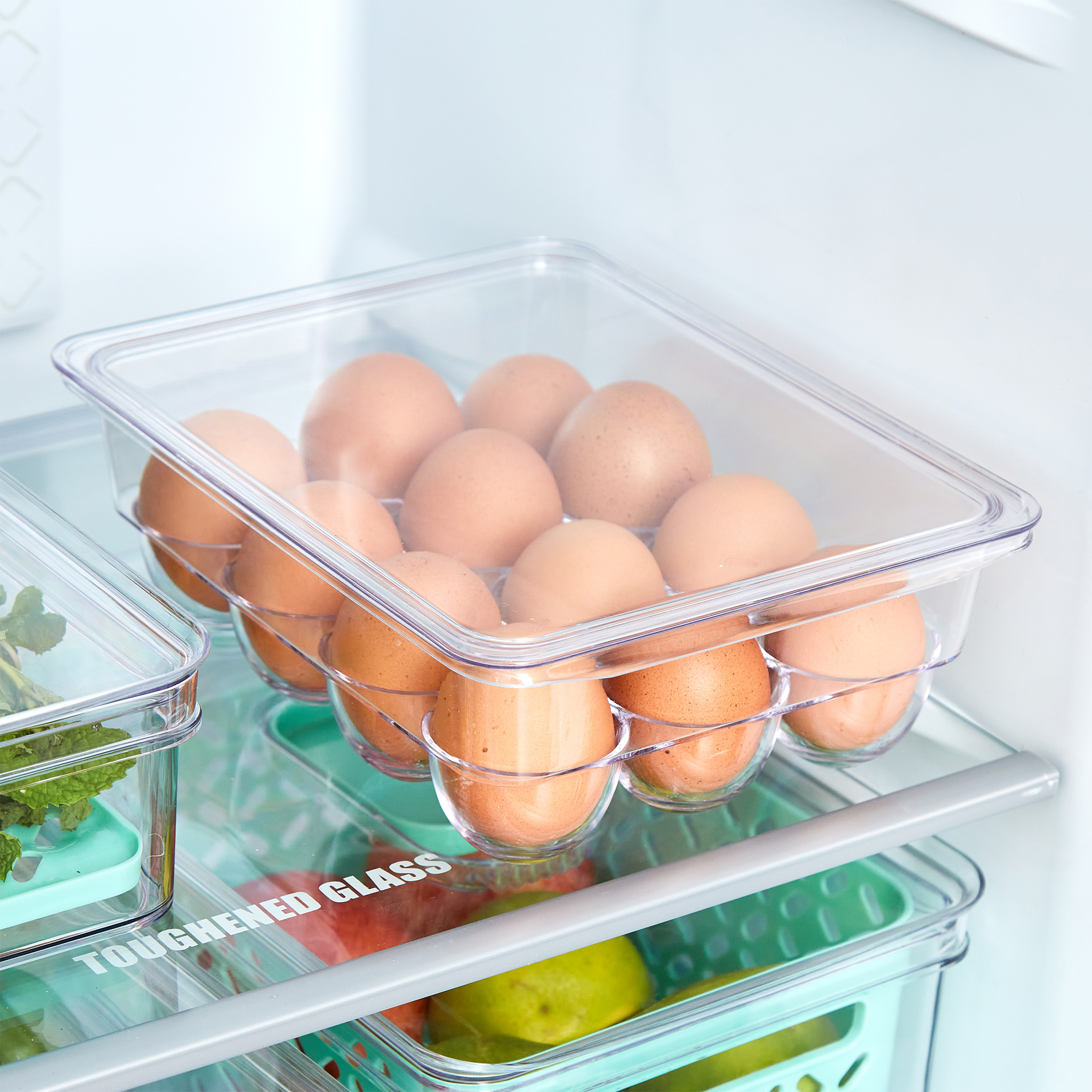Orion Elfin PET Egg Holder with Lid in Transparent