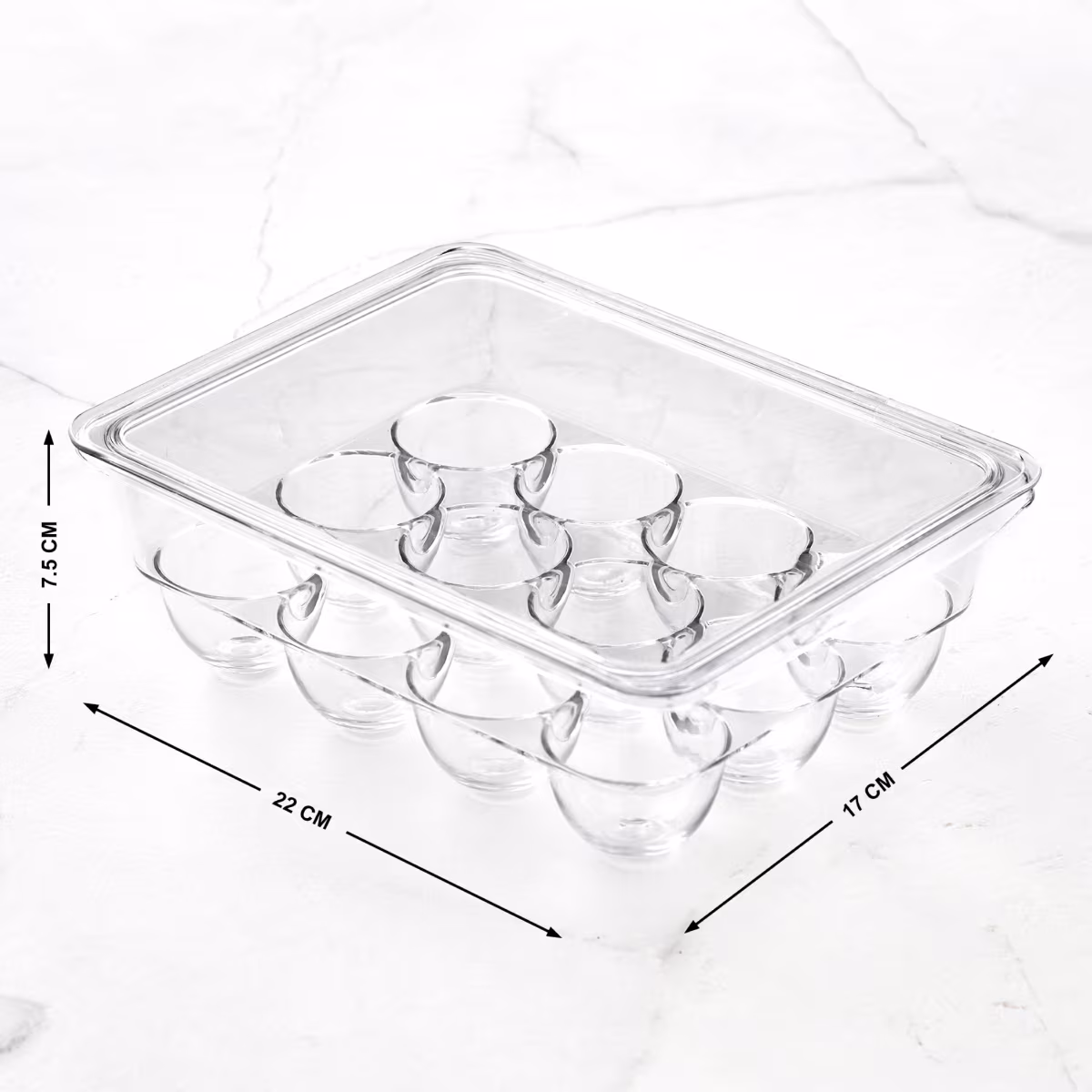 Orion Elfin PET Egg Holder with Lid in Transparent