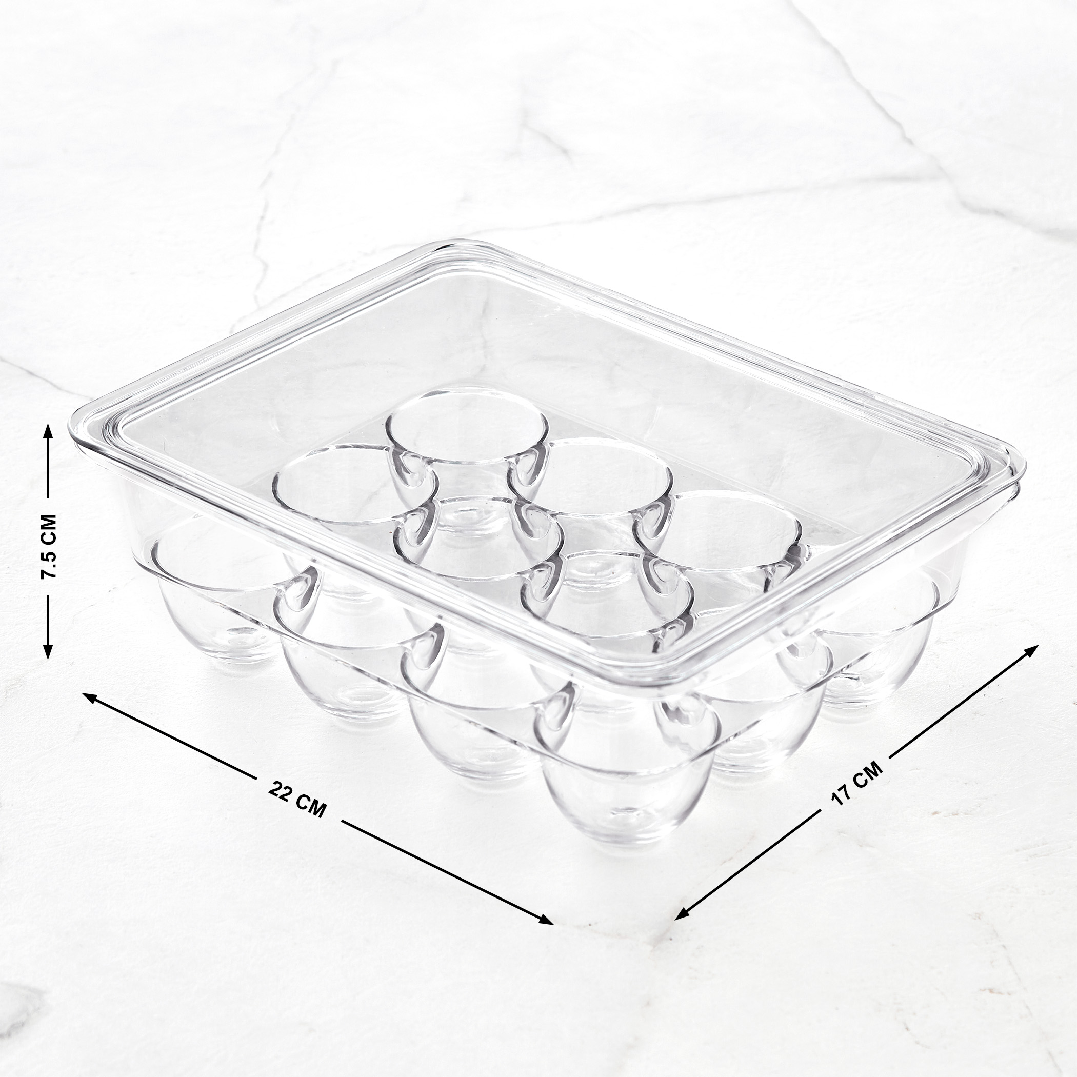 Orion Elfin PET Egg Holder with Lid in Transparent