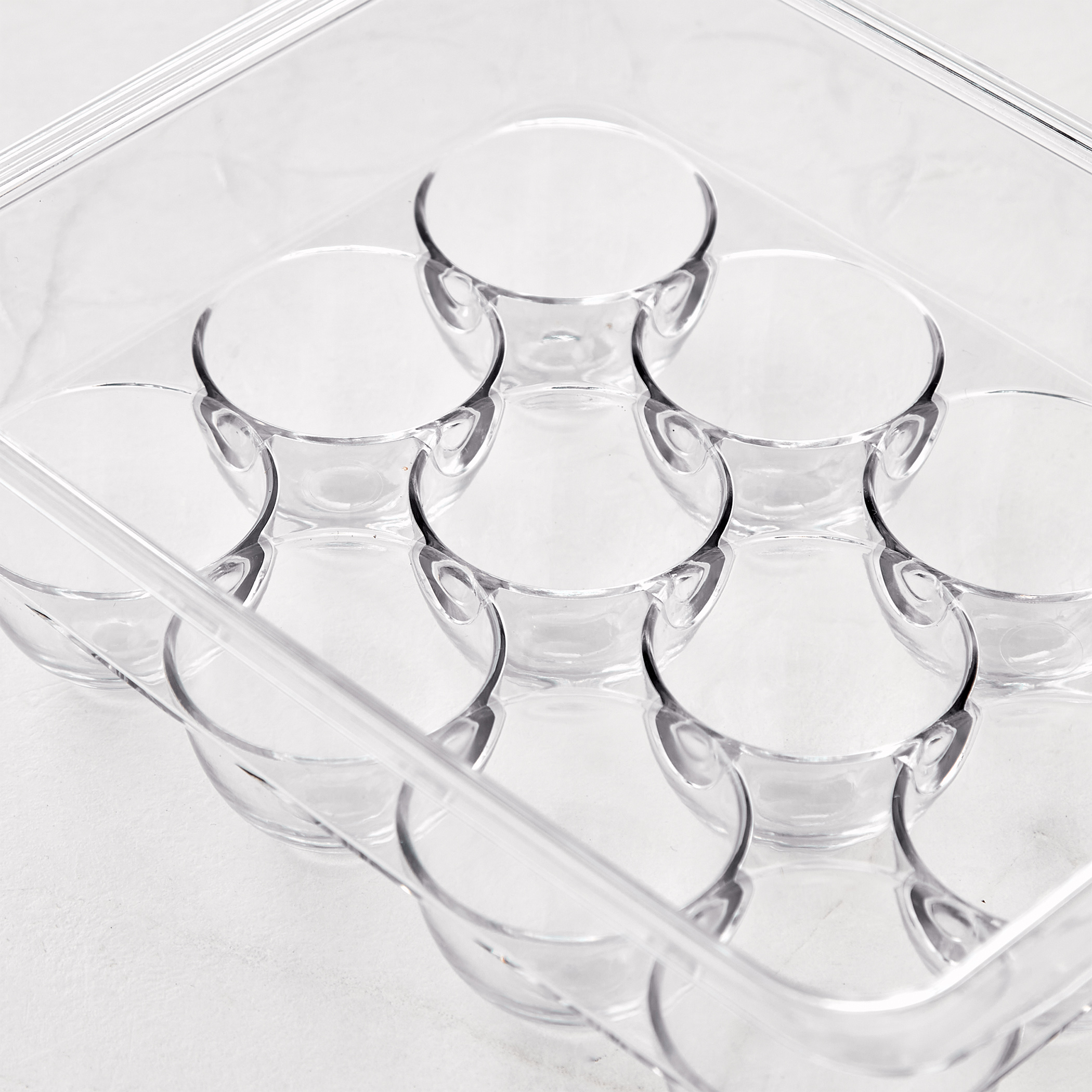Orion Elfin PET Egg Holder with Lid in Transparent