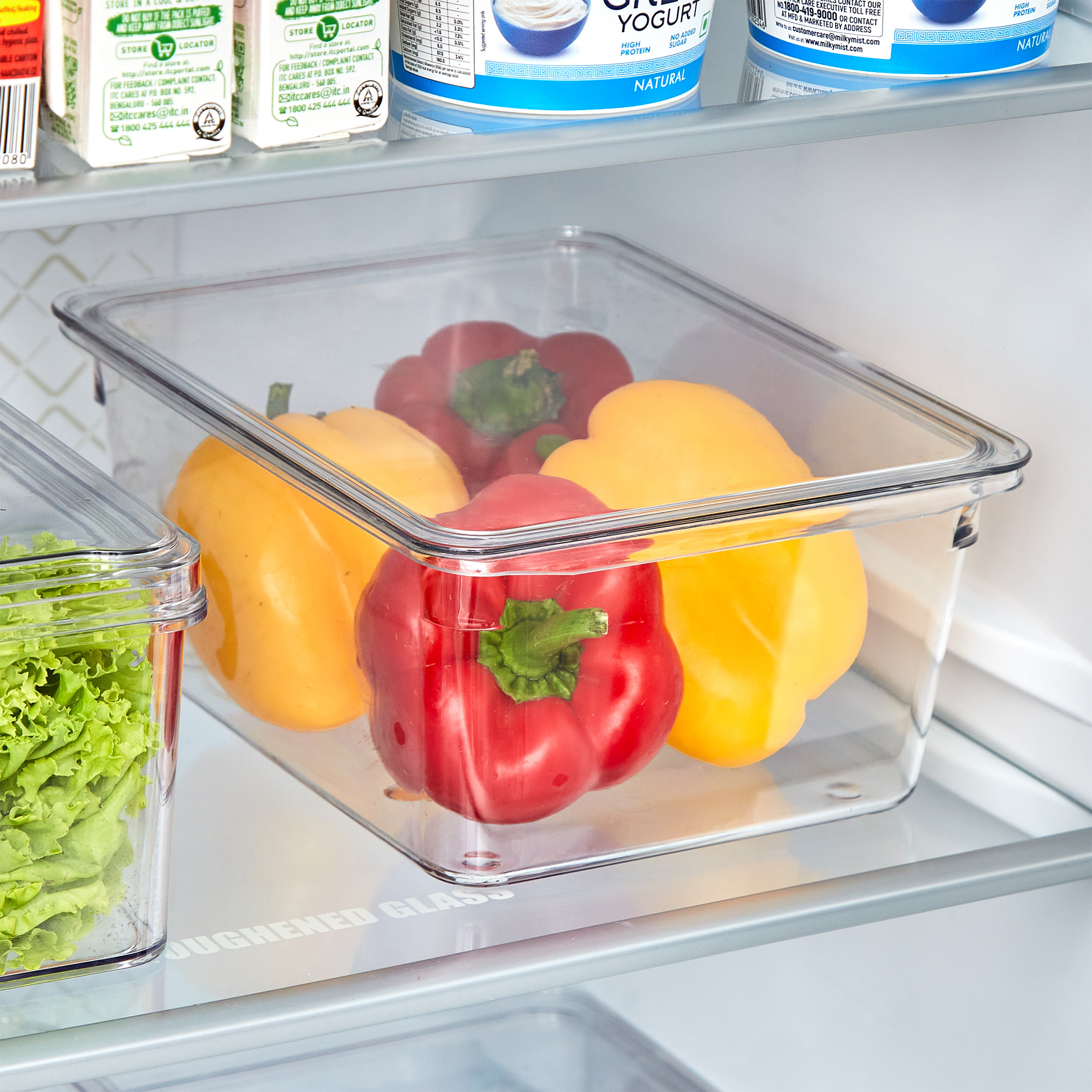 Orion Elfin PET Fridge Storage Box with Lid in Transparent