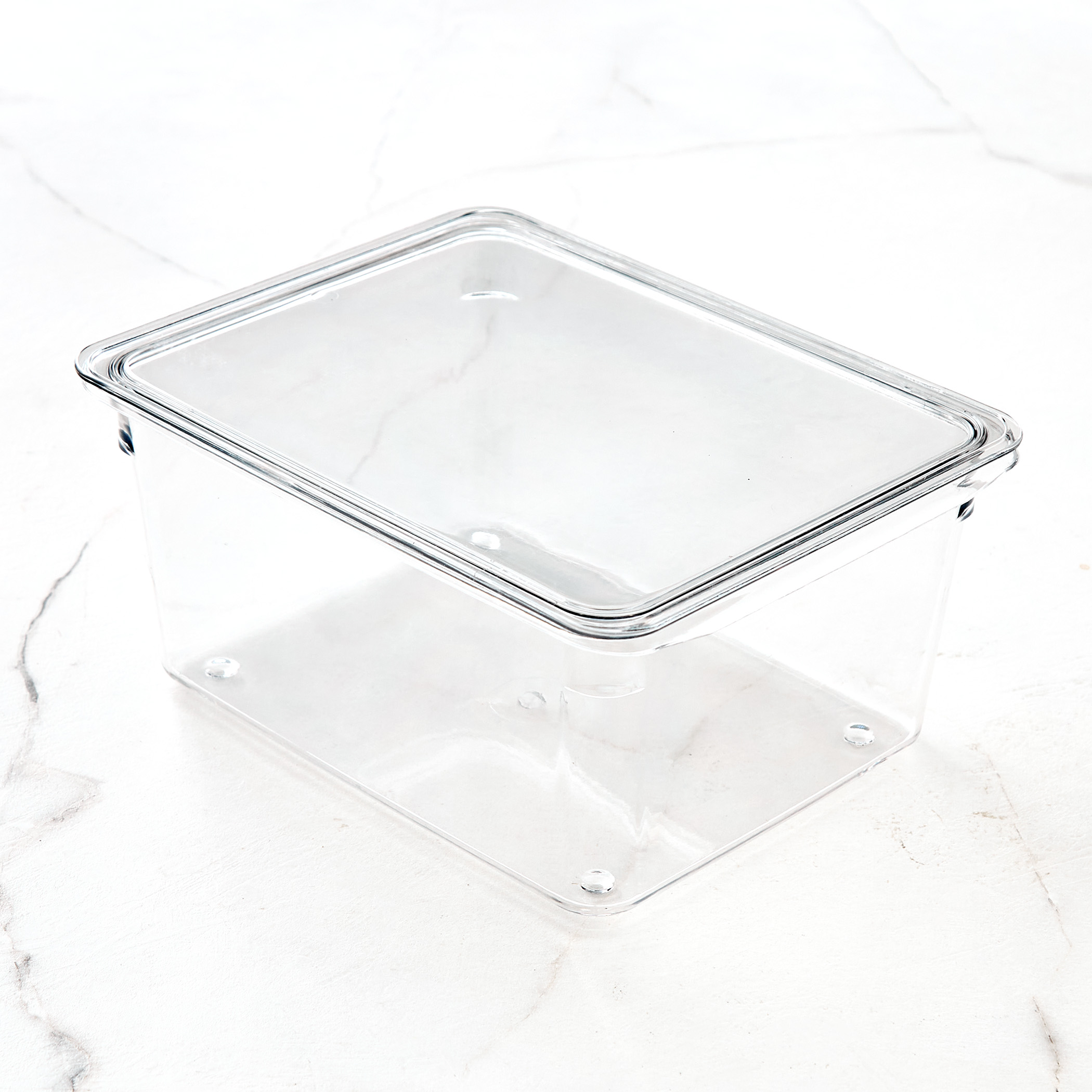 Orion Elfin PET Fridge Storage Box with Lid in Transparent