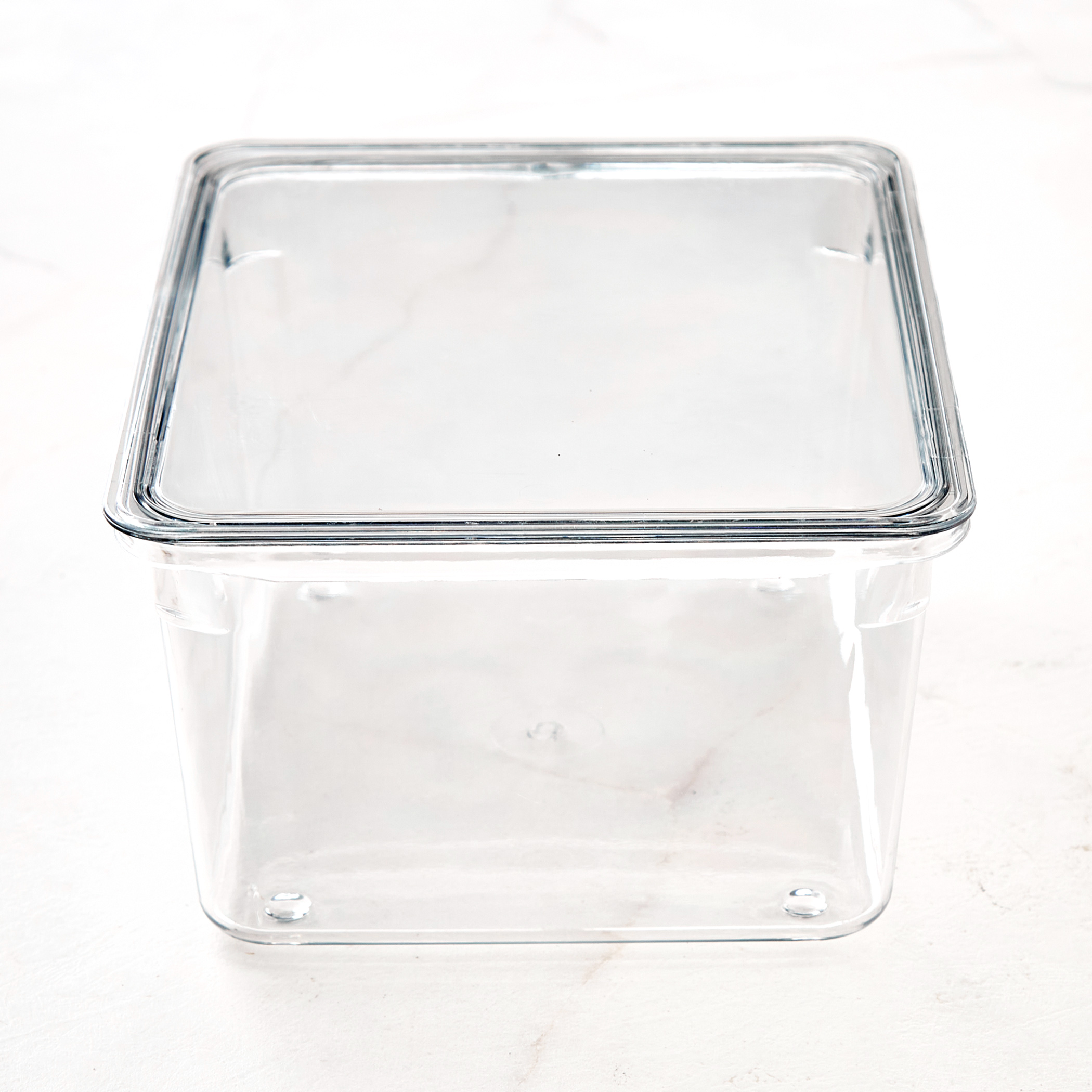 Orion Elfin PET Fridge Storage Box with Lid in Transparent