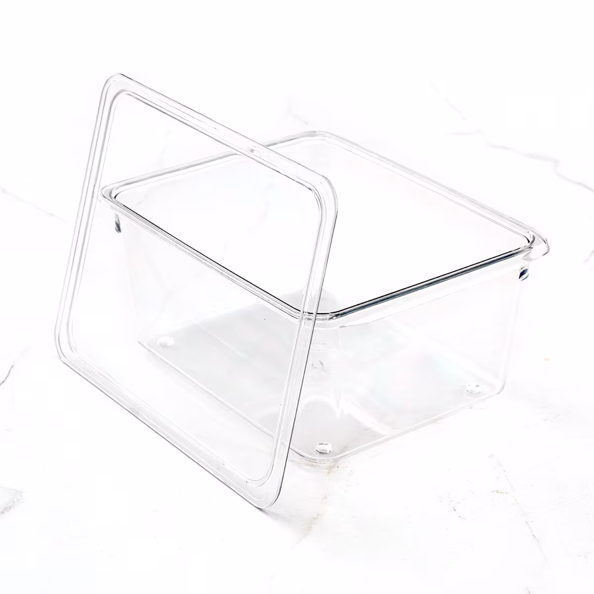 Orion Elfin PET Fridge Storage Box with Lid in Transparent