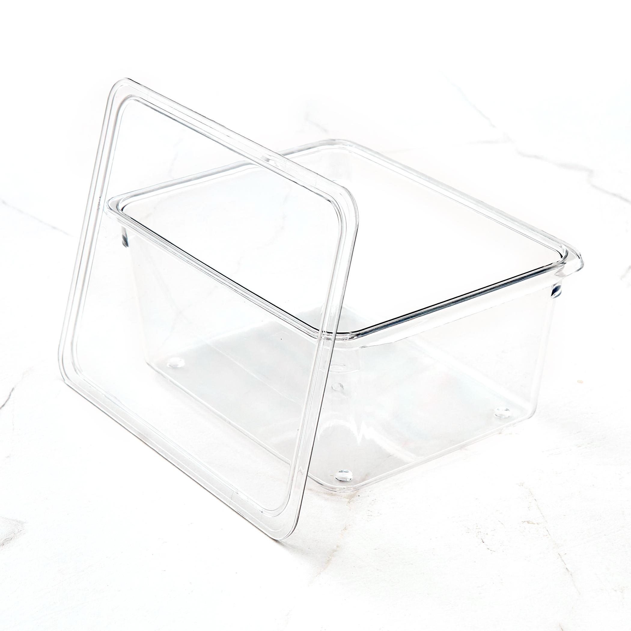 Orion Elfin PET Fridge Storage Box with Lid in Transparent