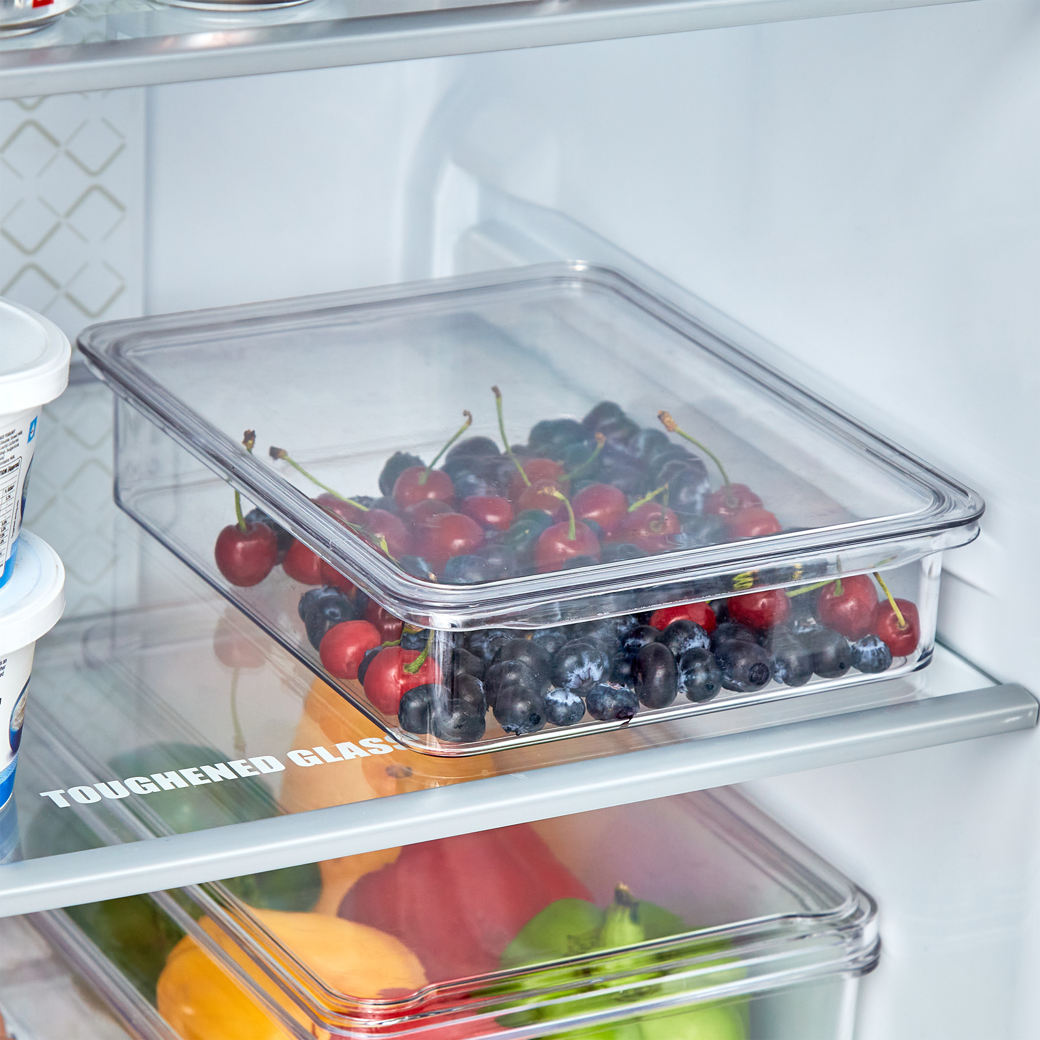 Orion Elfin PET Fridge Storage Box with Lid in Transparent