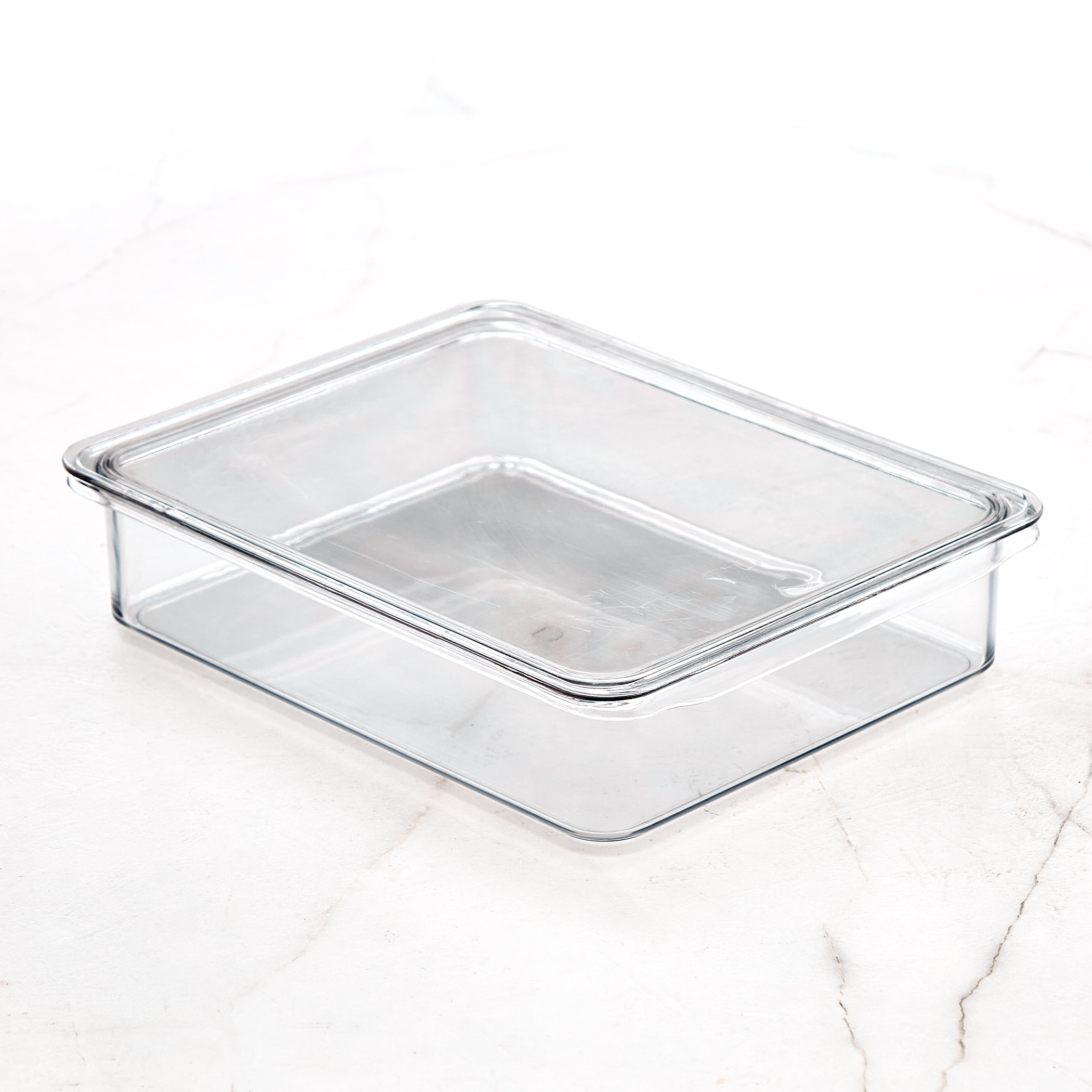 Orion Elfin PET Fridge Storage Box with Lid in Transparent