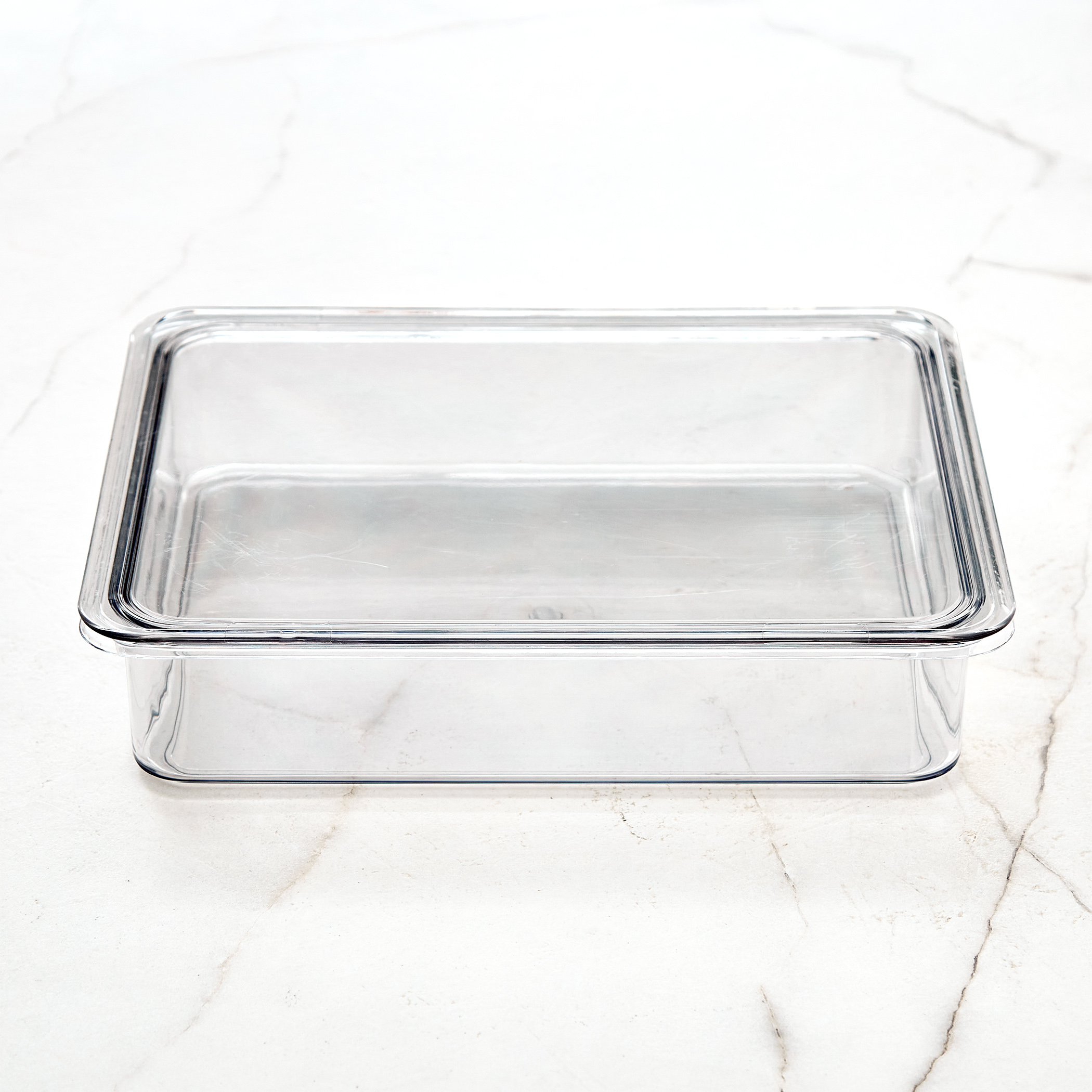 Orion Elfin PET Fridge Storage Box with Lid in Transparent