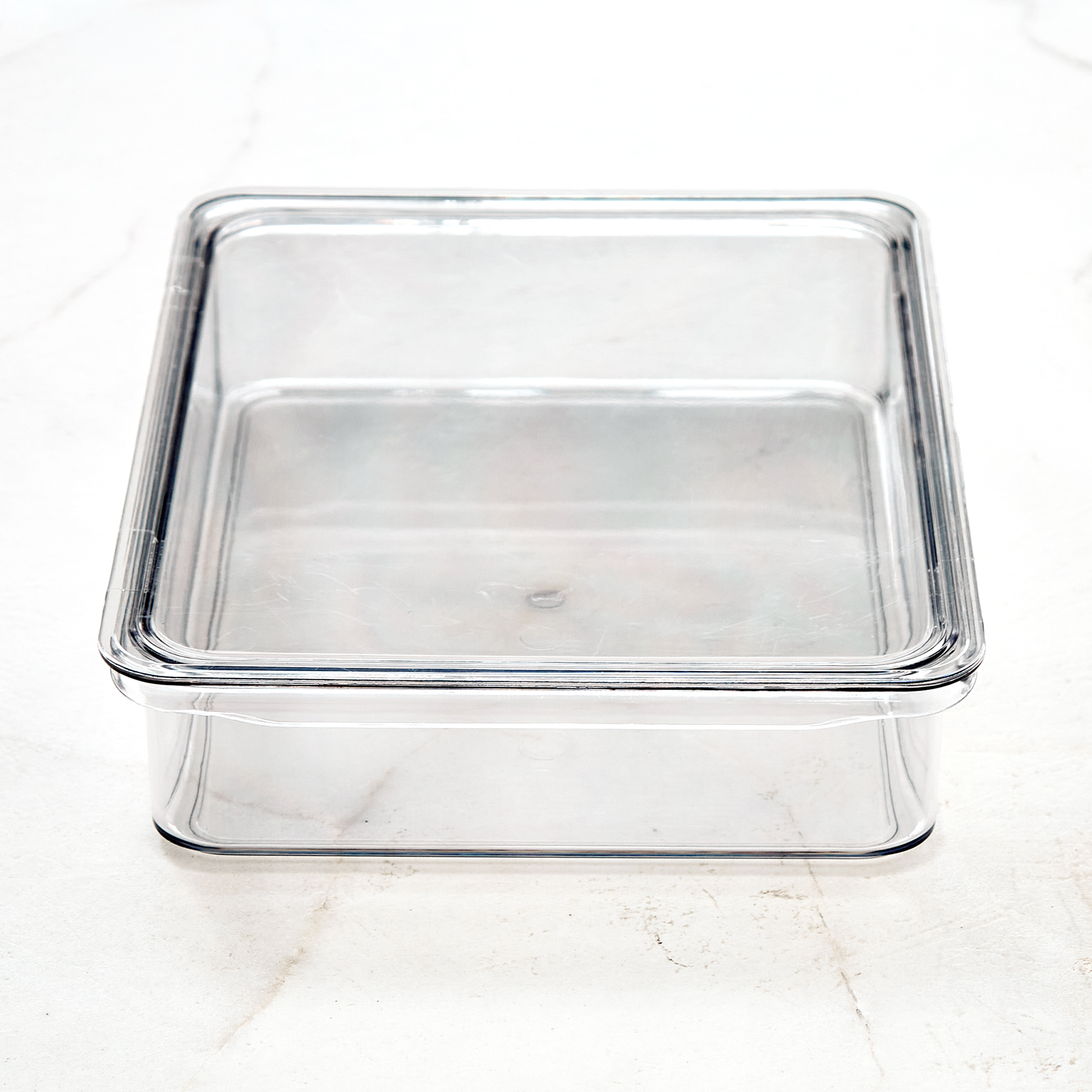 Orion Elfin PET Fridge Storage Box with Lid in Transparent