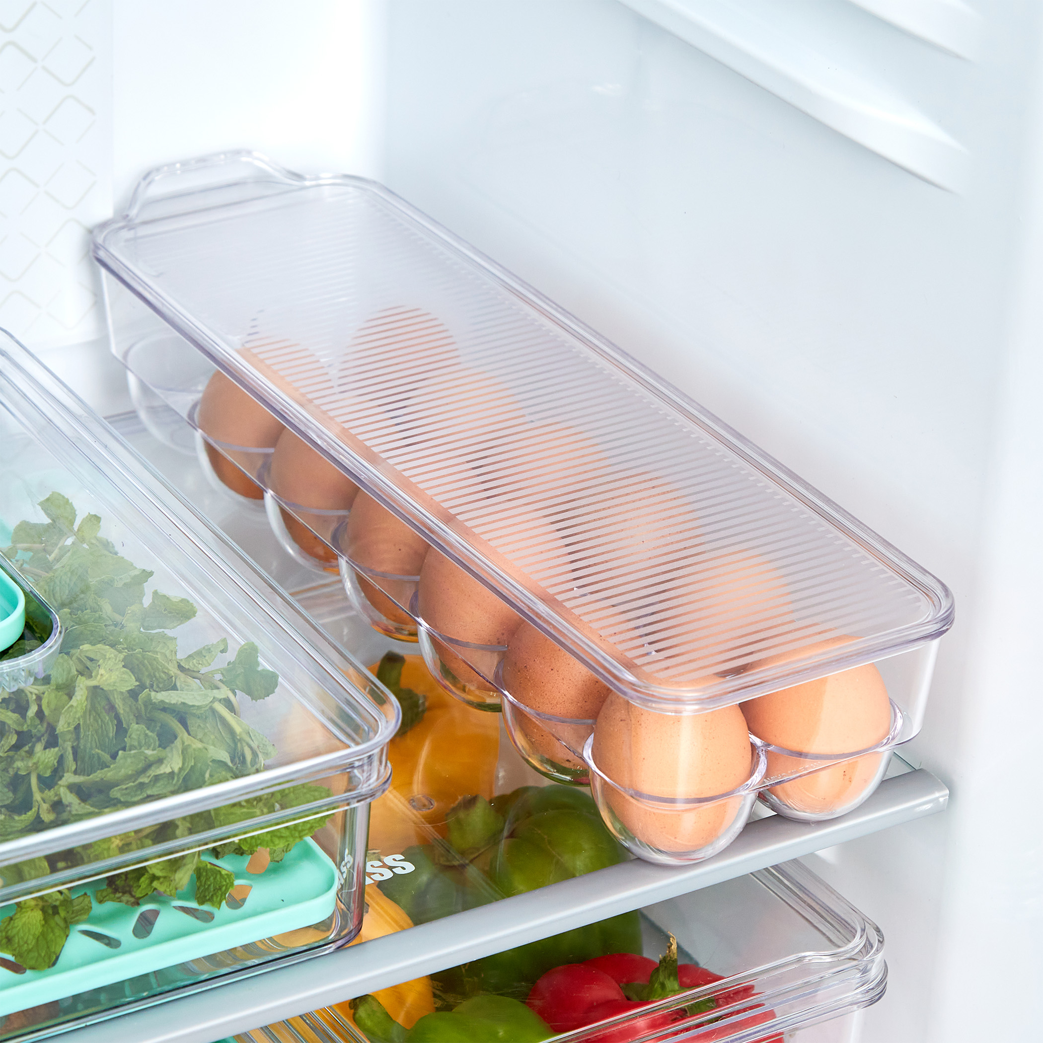 Orion Elfin PET Egg Holder with Lid in Transparent