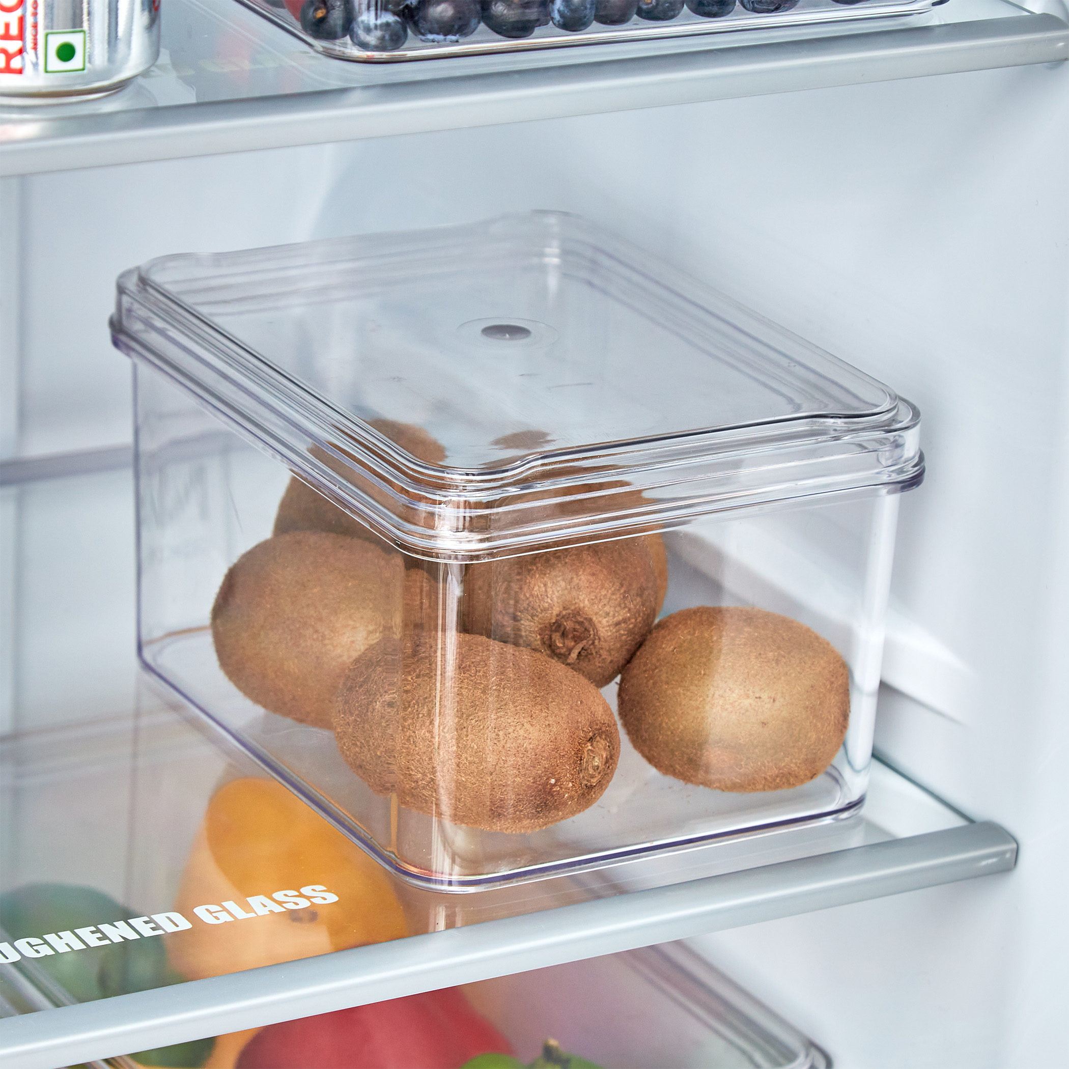 Orion Elfin PET Fridge Storage Box with Lid in Transparent
