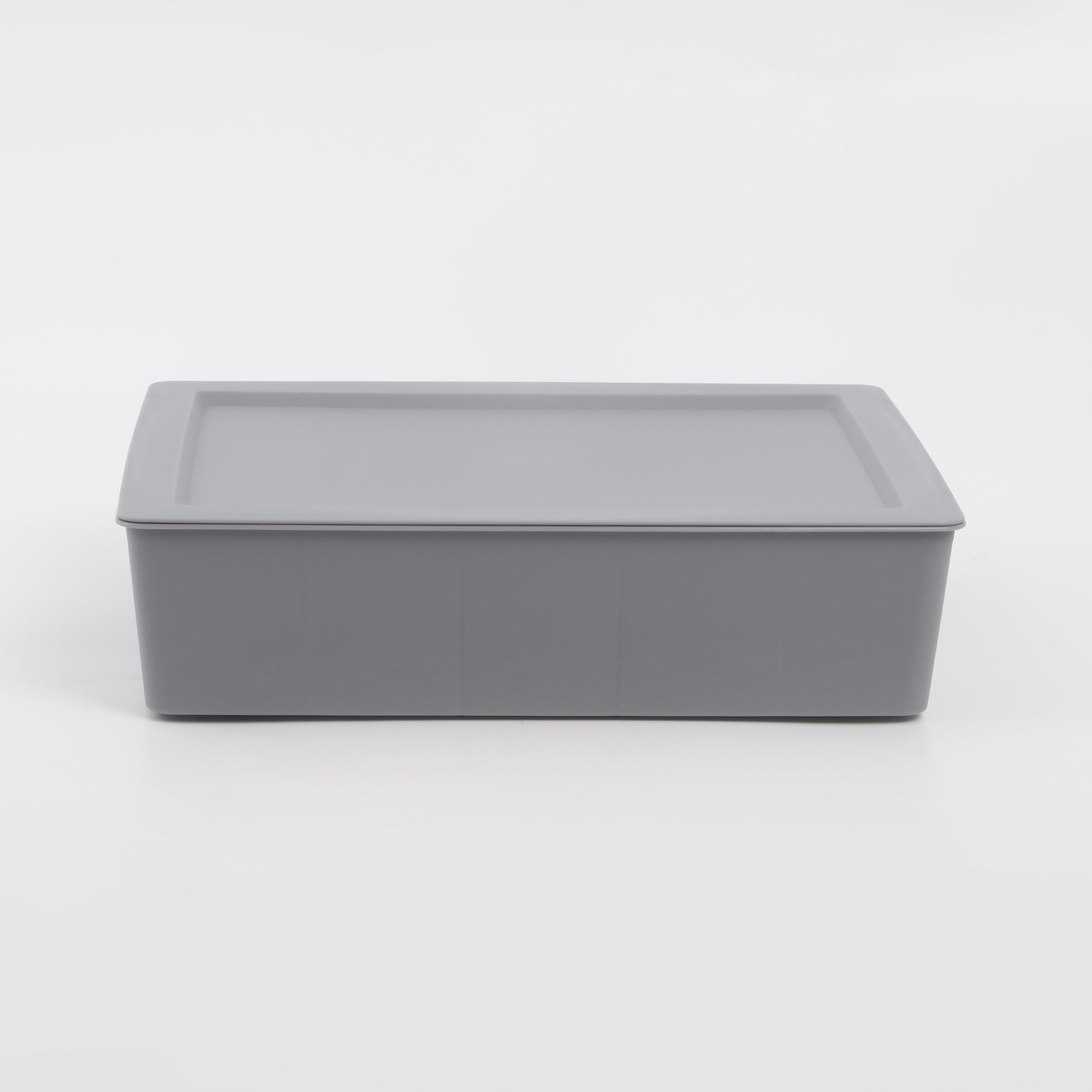 Regan Ashley Polypropylene Drawer Organizer with Lid in Grey