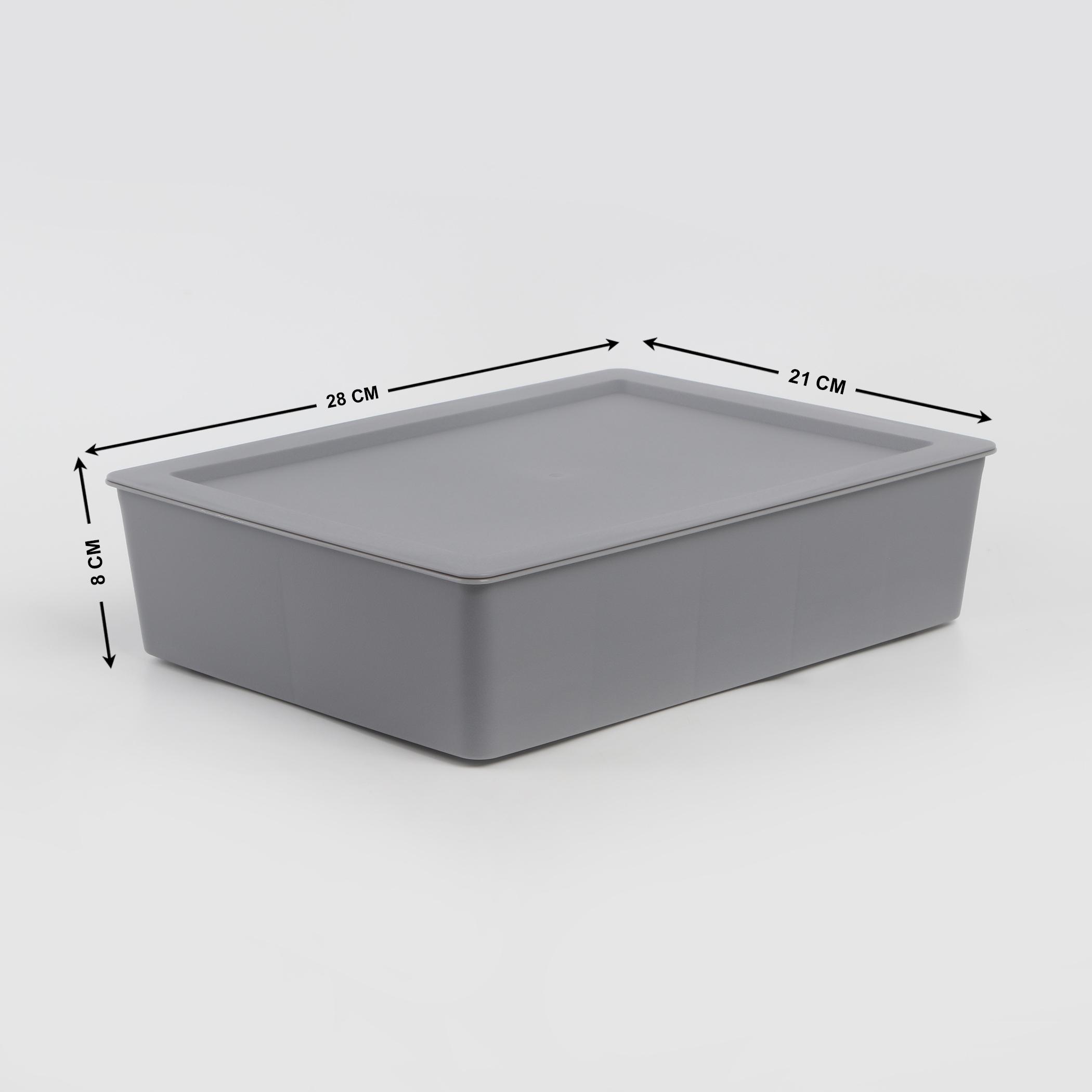 Regan Ashley Polypropylene Drawer Organizer with Lid in Grey