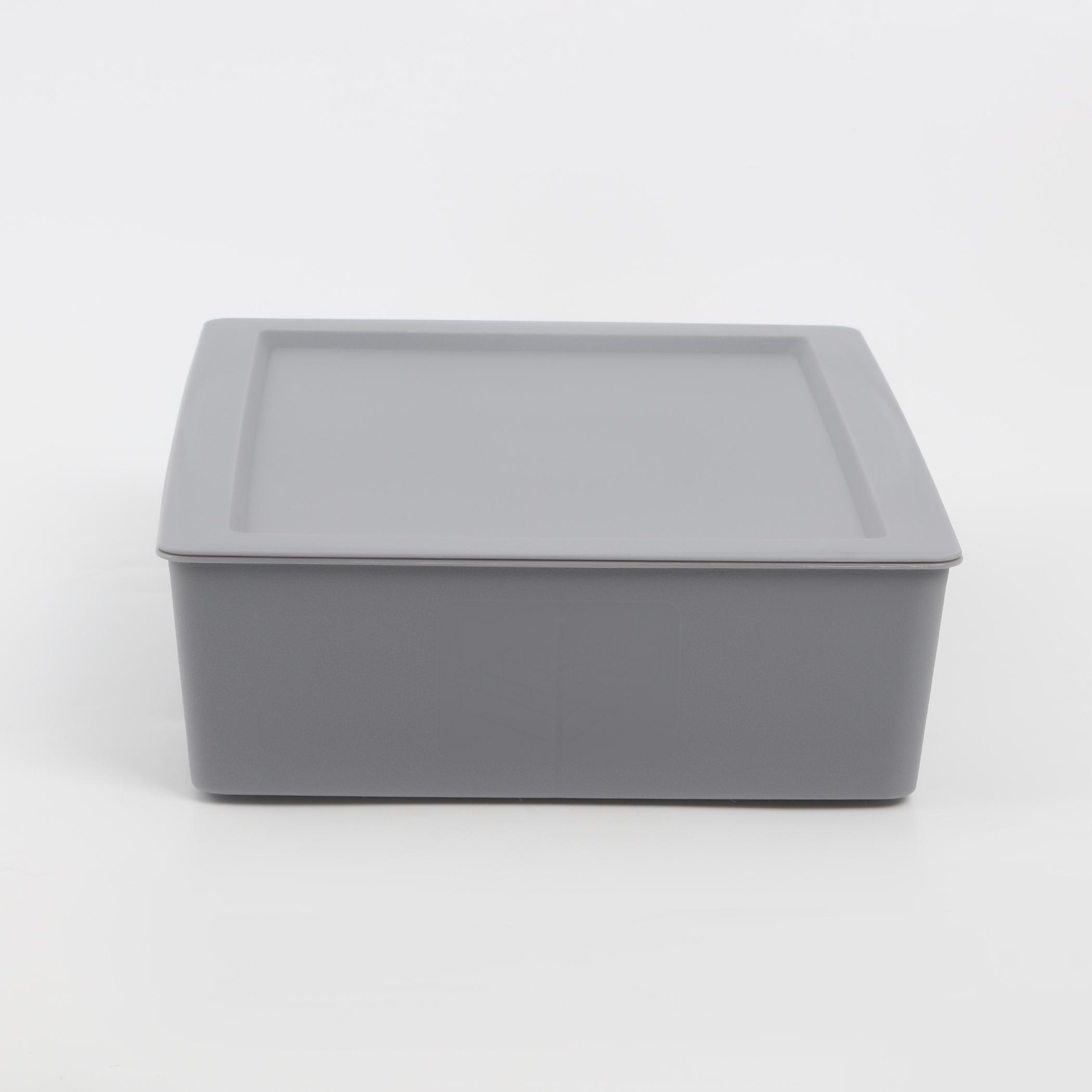 Regan Ashley Polypropylene Drawer Organizer with Lid in Grey