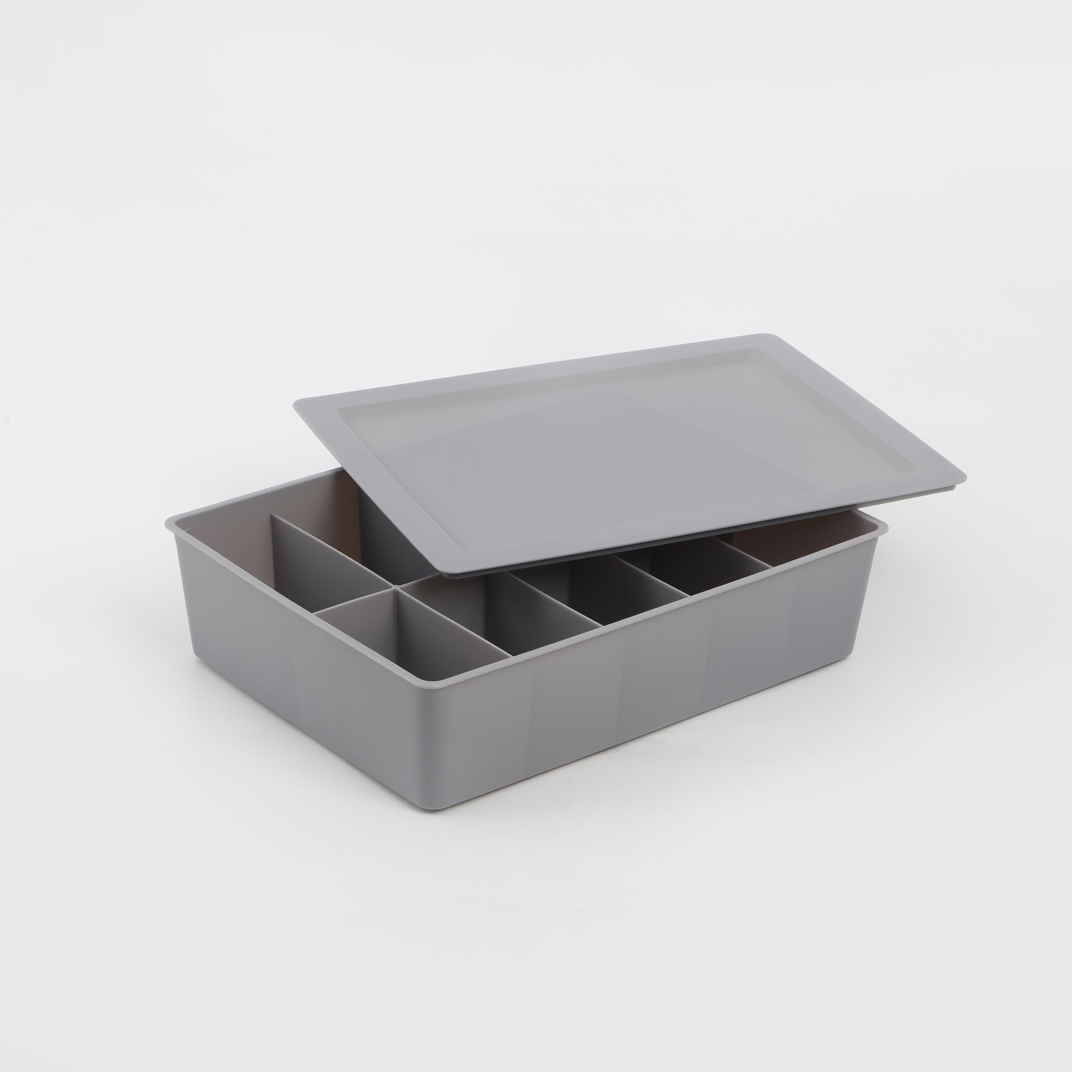 Regan Ashley Polypropylene Drawer Organizer with Lid in Grey