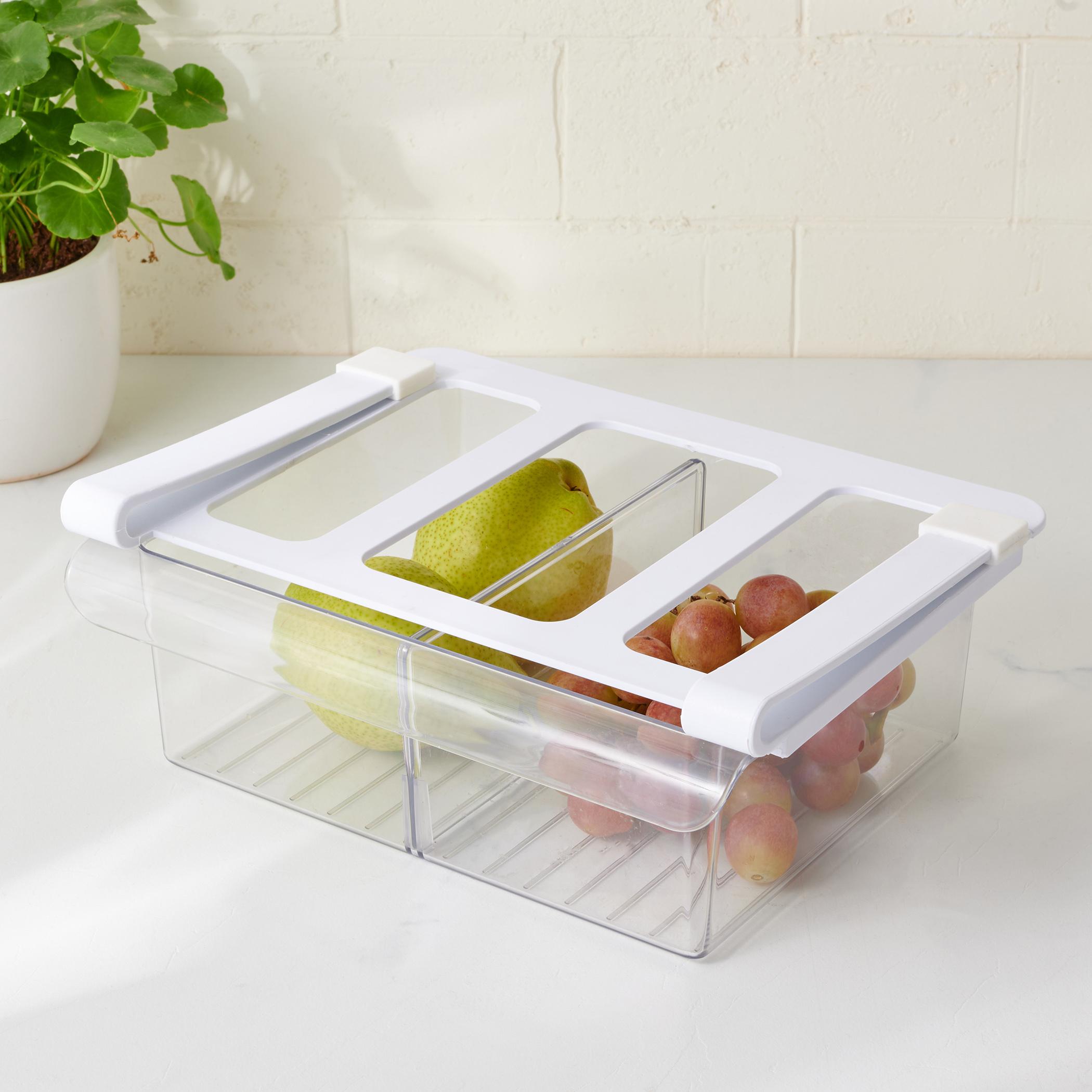 Orion Fisker Under Shelf Fridge Rack in Transparent