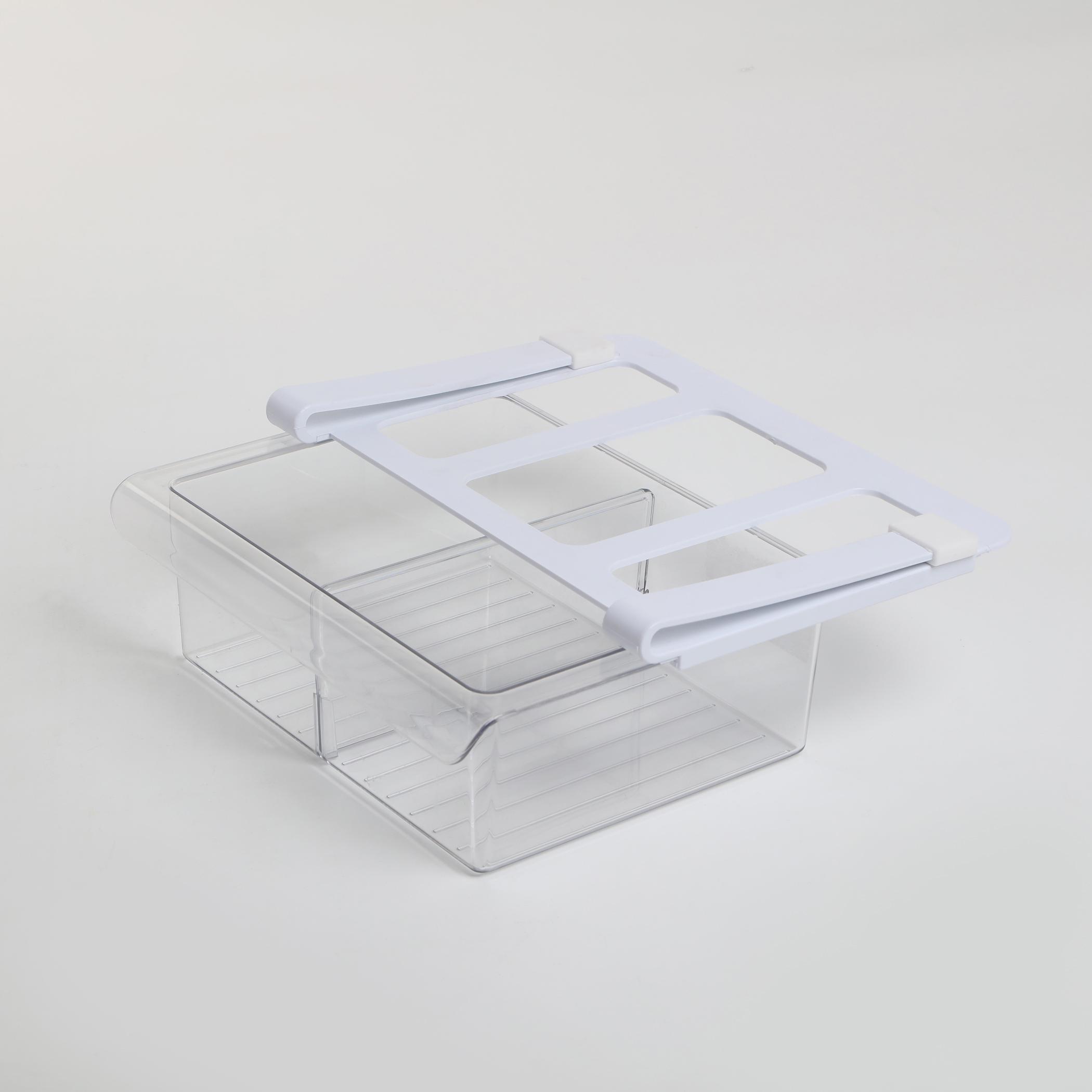 Orion Fisker Under Shelf Fridge Rack in Transparent